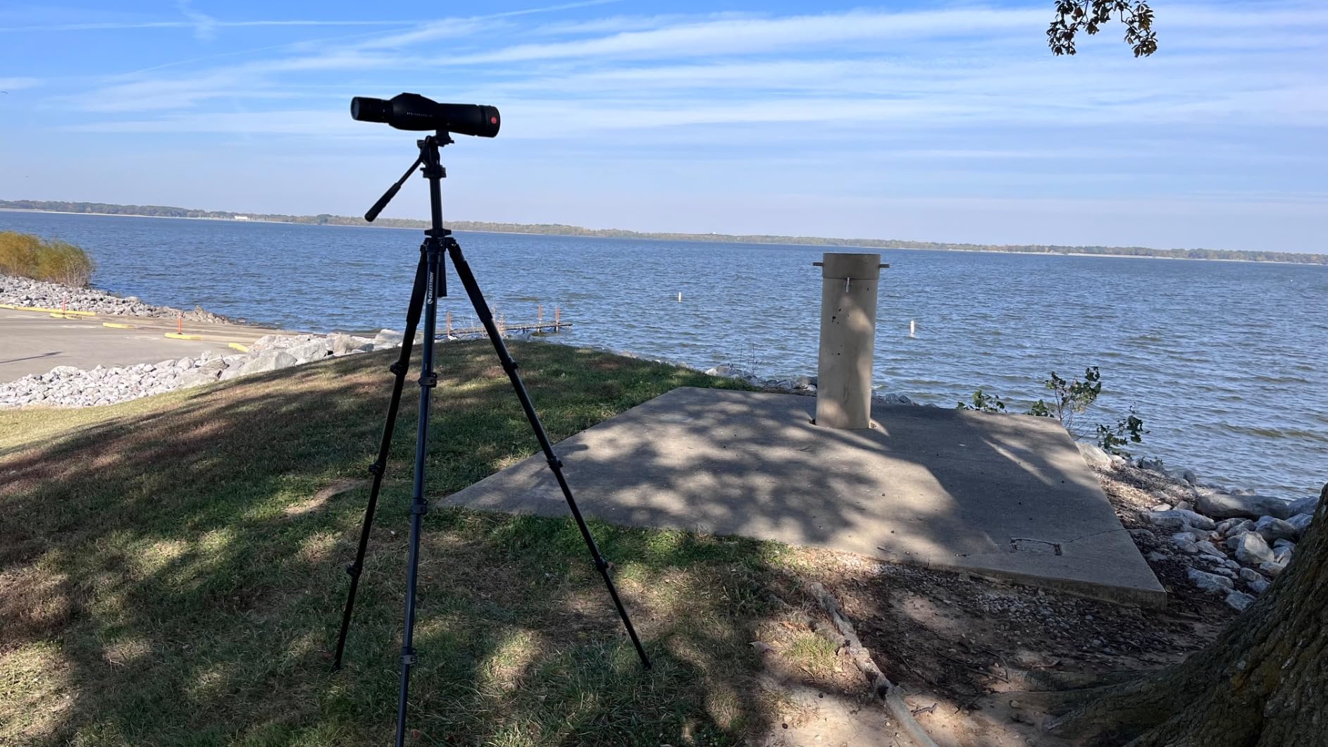 Celestron Regal Premium Tripod for Spotting Scopes, Binoculars & Cameras | Two-Way Fluid Pan Head, Adjustable Height, Stable on Any Terrain, Quick-Release Balance Rail, Sturdy Lightweight Aluminum customer photo 2