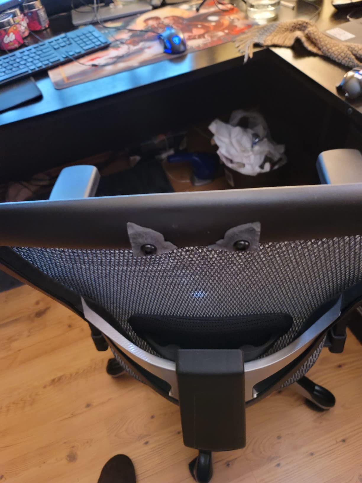 Staples Hyken Ergonomic Mesh Task Chair, Lumbar Support, Swivel, Black customer photo 2