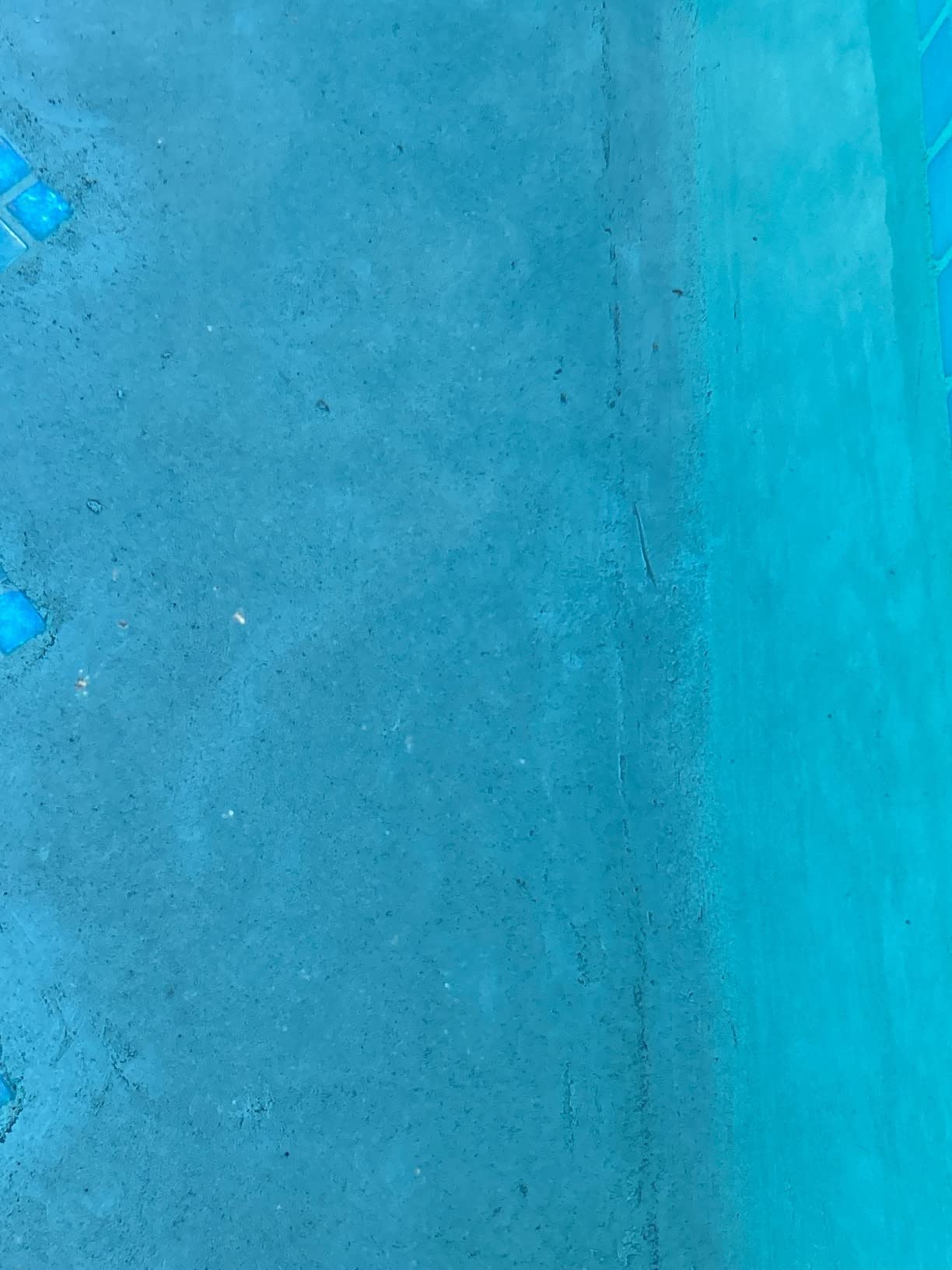 Dolphin Automatic Robotic Pool Vacuum Cleaner, Wall Climbing Scrubber Brush, Smart Navigation, Ideal for In-Ground Pools up to 40FT in Length - Nautilus CC Plus customer photo 1