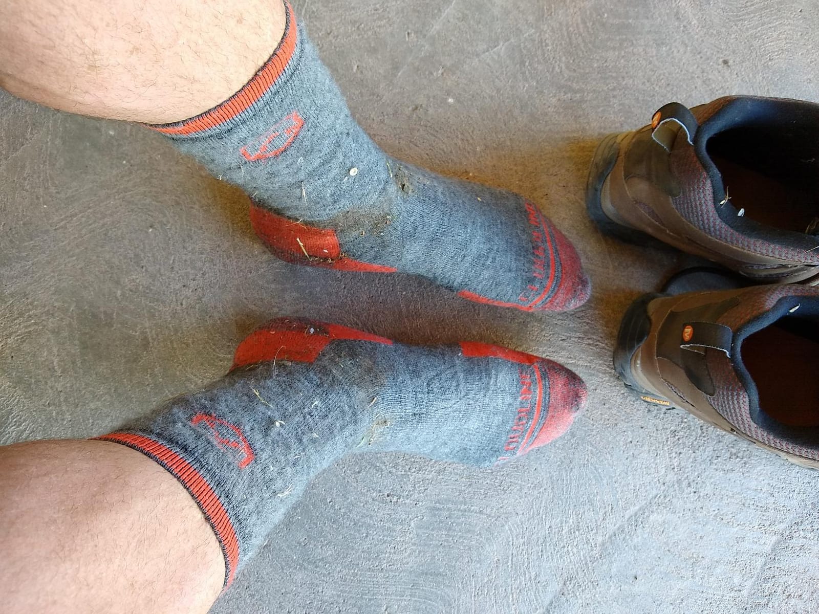 CloudLine - Merino Wool Socks for Men & Women, Wool Hiking Socks, Cushioned, Moisture Wicking, Anti Blister, Thermal - 1 Pair customer photo 1
