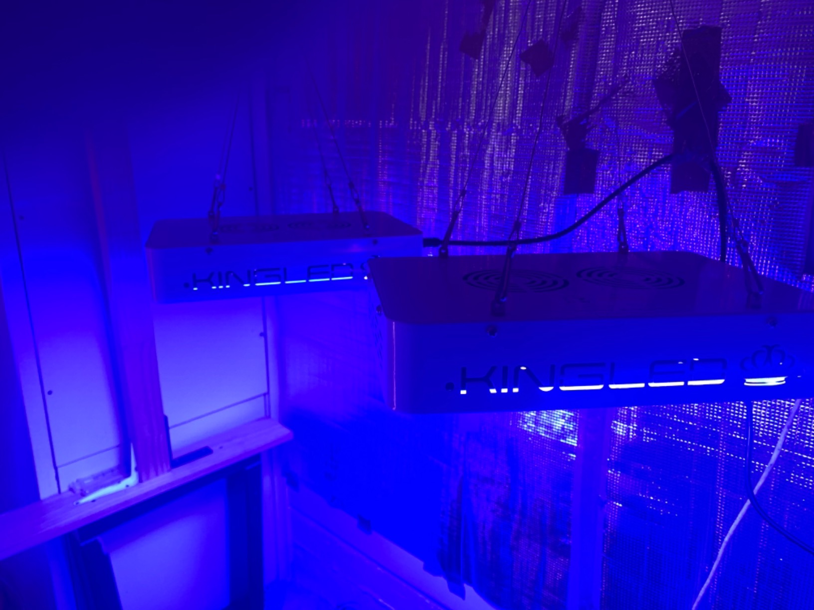KingLED KP1000 Grow Light for Indoor Plants, Fits 2x2, 2x3 & 2x4 ft Tents customer photo 2