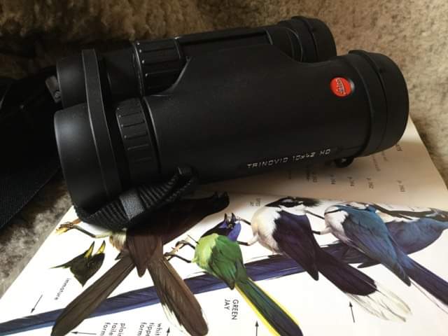 Leica Trinovid 10 X 42 HD Binocular with Adventure Strap customer photo 1