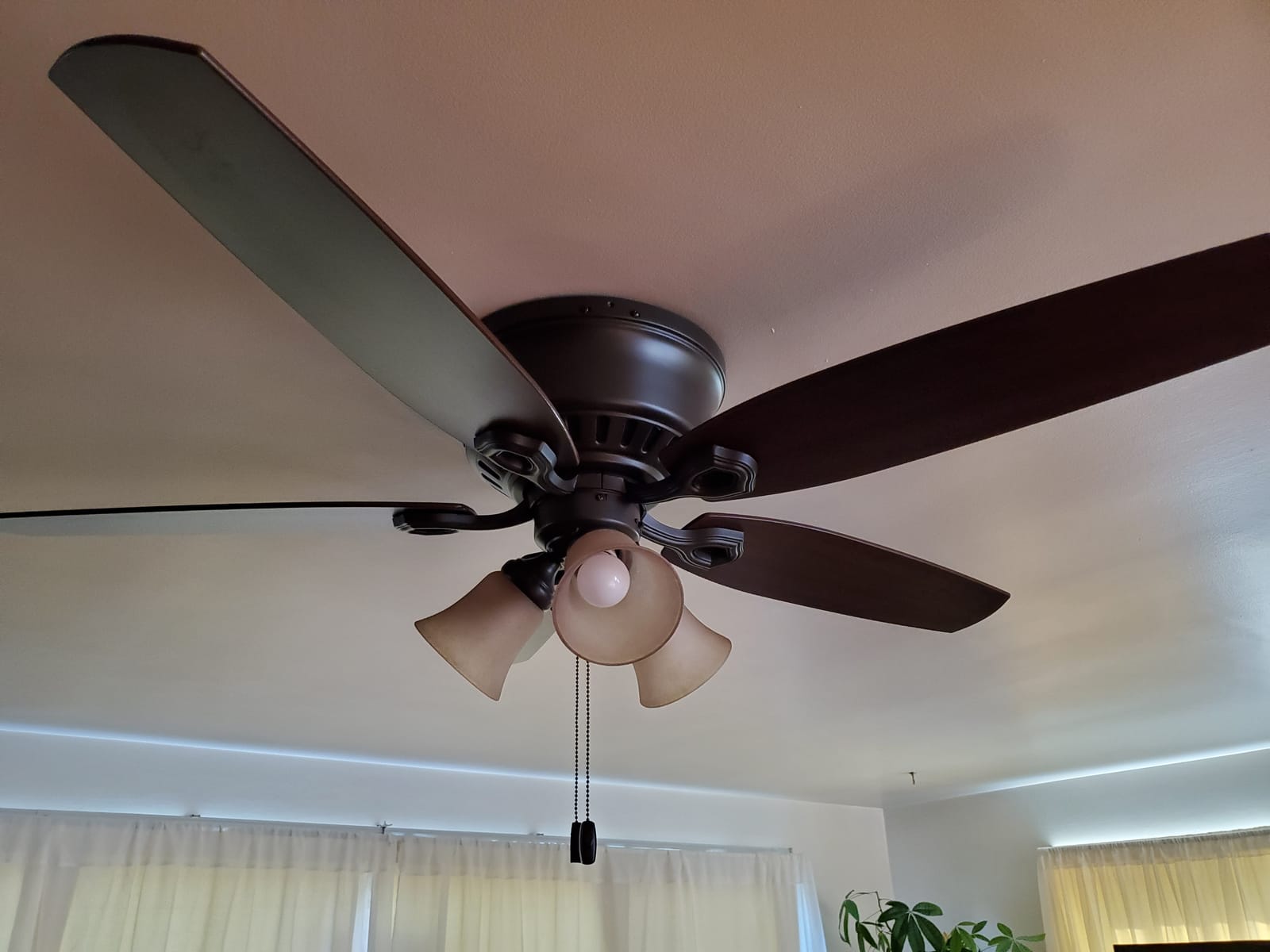 Hunter Builder, Indoor, Ceiling Fan, with LED Lights, 52 inch, New Bronze customer photo 2