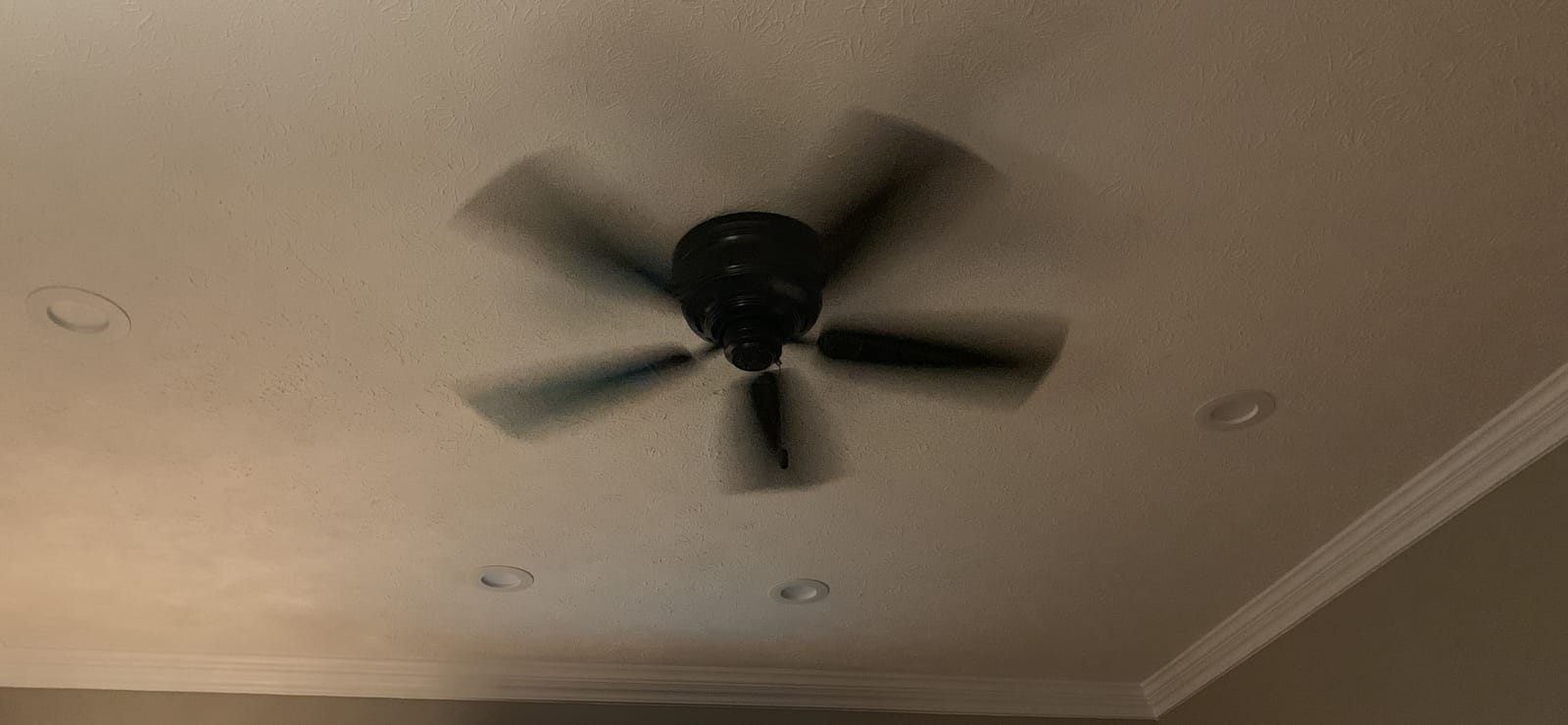 Hunter Sea Wind, Outdoor or Indoor, Ceiling Fan, No Light, 48 inch, White customer photo 2