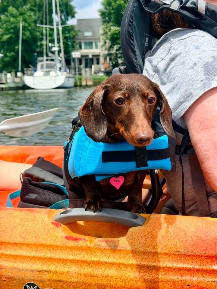 VIVAGLORY Dog Life Vest Rip Stop Dog Swim Vest, M, Bright Green customer photo 2