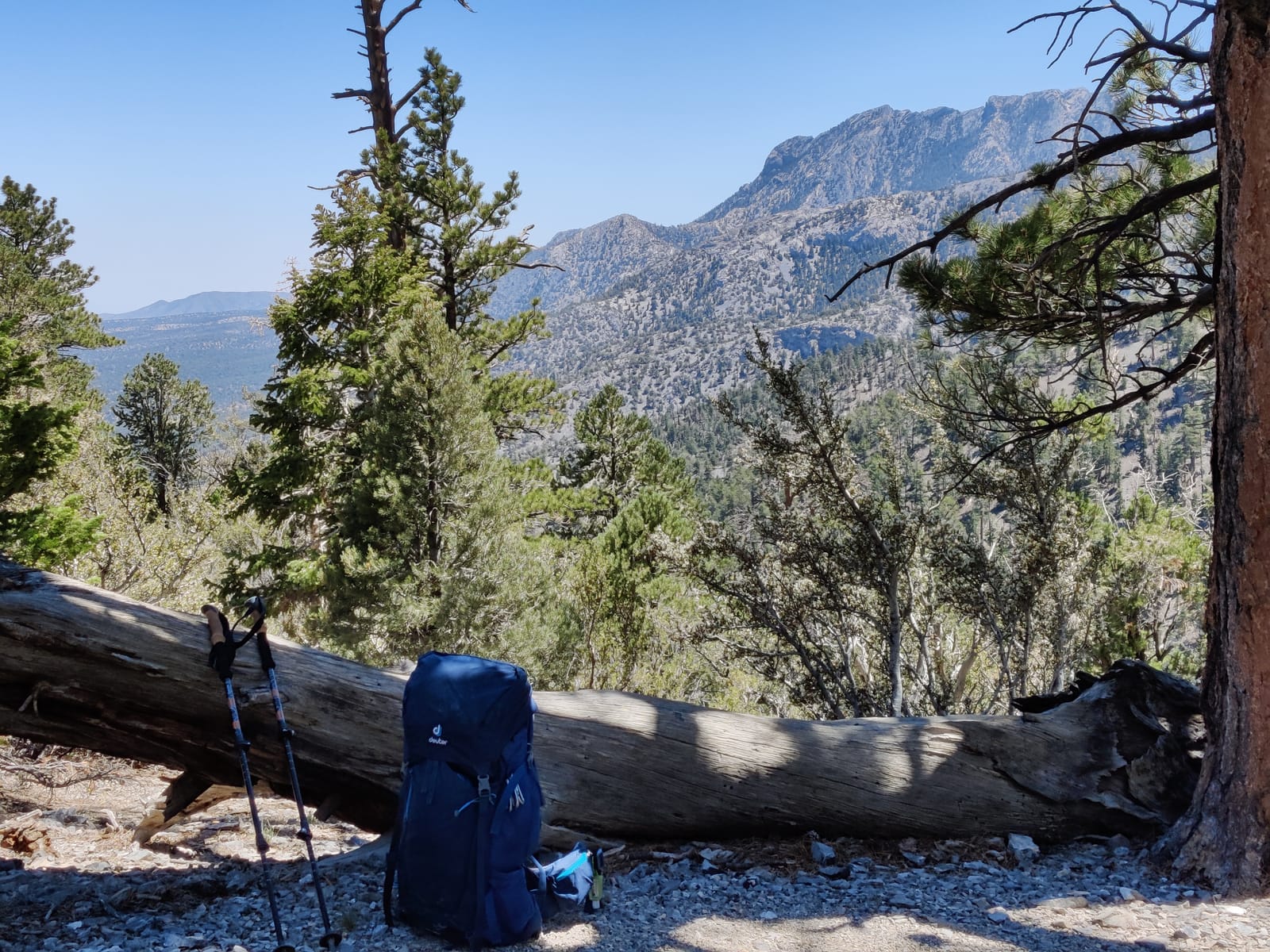 Cascade Mountain Tech Lightweight Aircraft-Grade Aluminum Trekking Poles with Extended Down Grip Plus Tip Kit customer photo 1