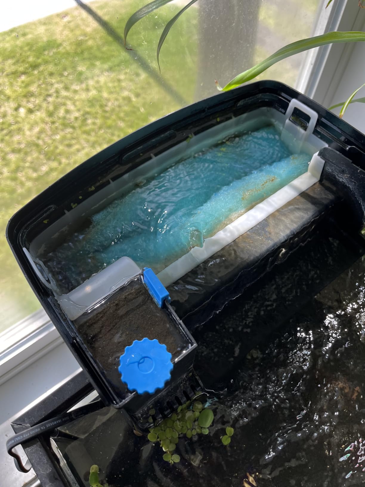 SeaChem - Large Aquarium Fish Tank Filter, Tidal 110 Gallon (400 Liters) by Sicce customer photo 2