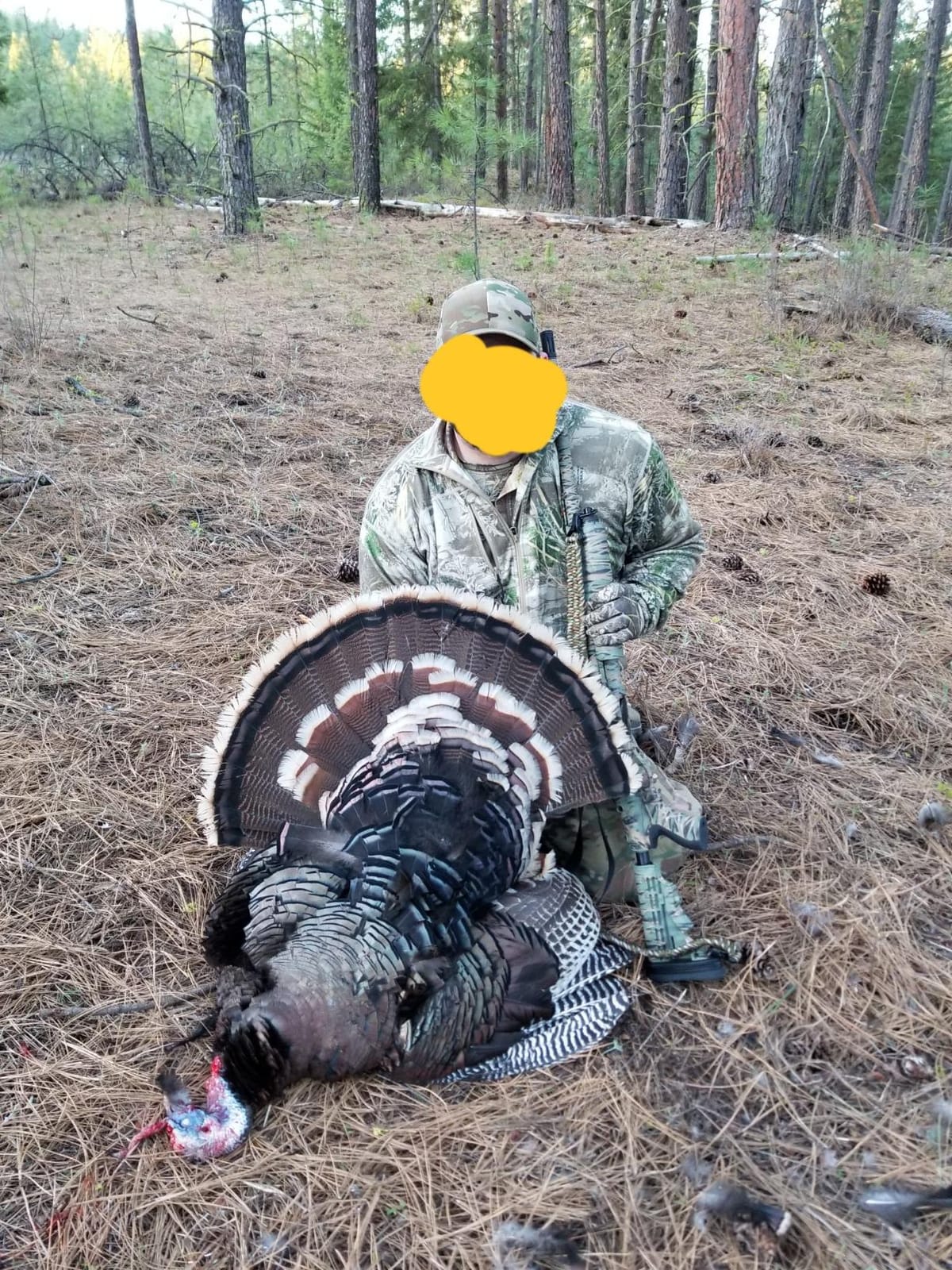 HUNTERS SPECIALTIES HS Strut Lite Flock Jake & Feeding Hen & Upright Hen Turkey Foldable Hollow Relaxed Body Realistic3-Pack Combo Set Decoys customer photo 2