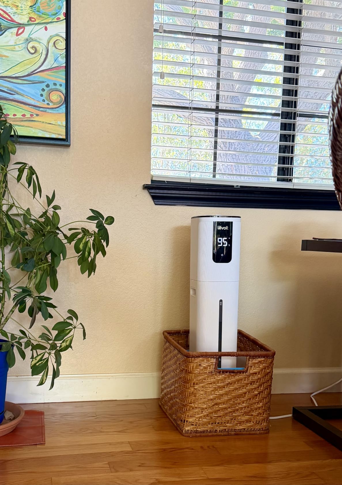 Levoit Humidifiers for Bedroom Large Room Home, Warm and Cool Mist, White customer photo 1