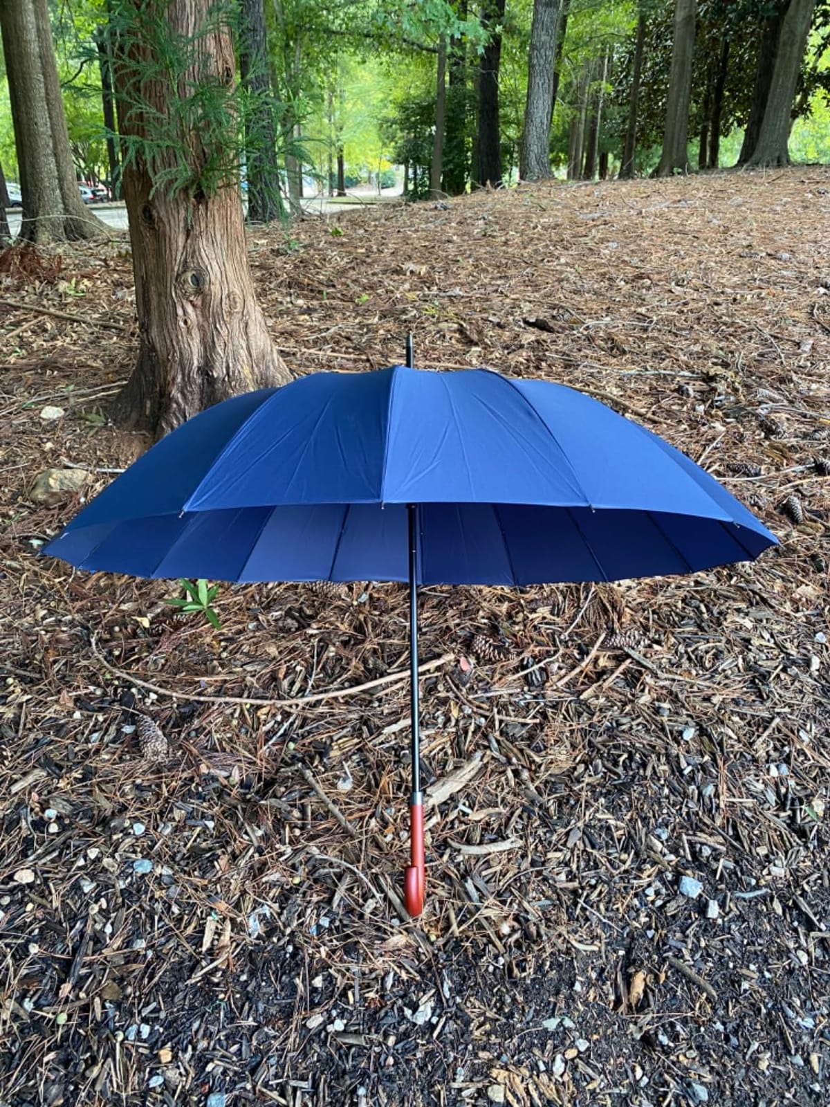 Royal Walk Large Umbrella for Rain & Golf, Windproof, Big, Heavy Duty Stick customer photo 1