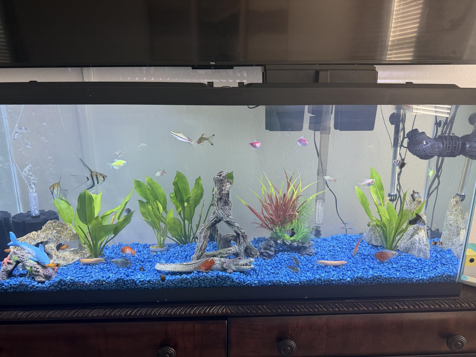 AQUANEAT Aquarium Bio Sponge Filter Breeding Fry Betta Shrimp Nano Fish Tank (Small up to 10Gal) customer photo 1