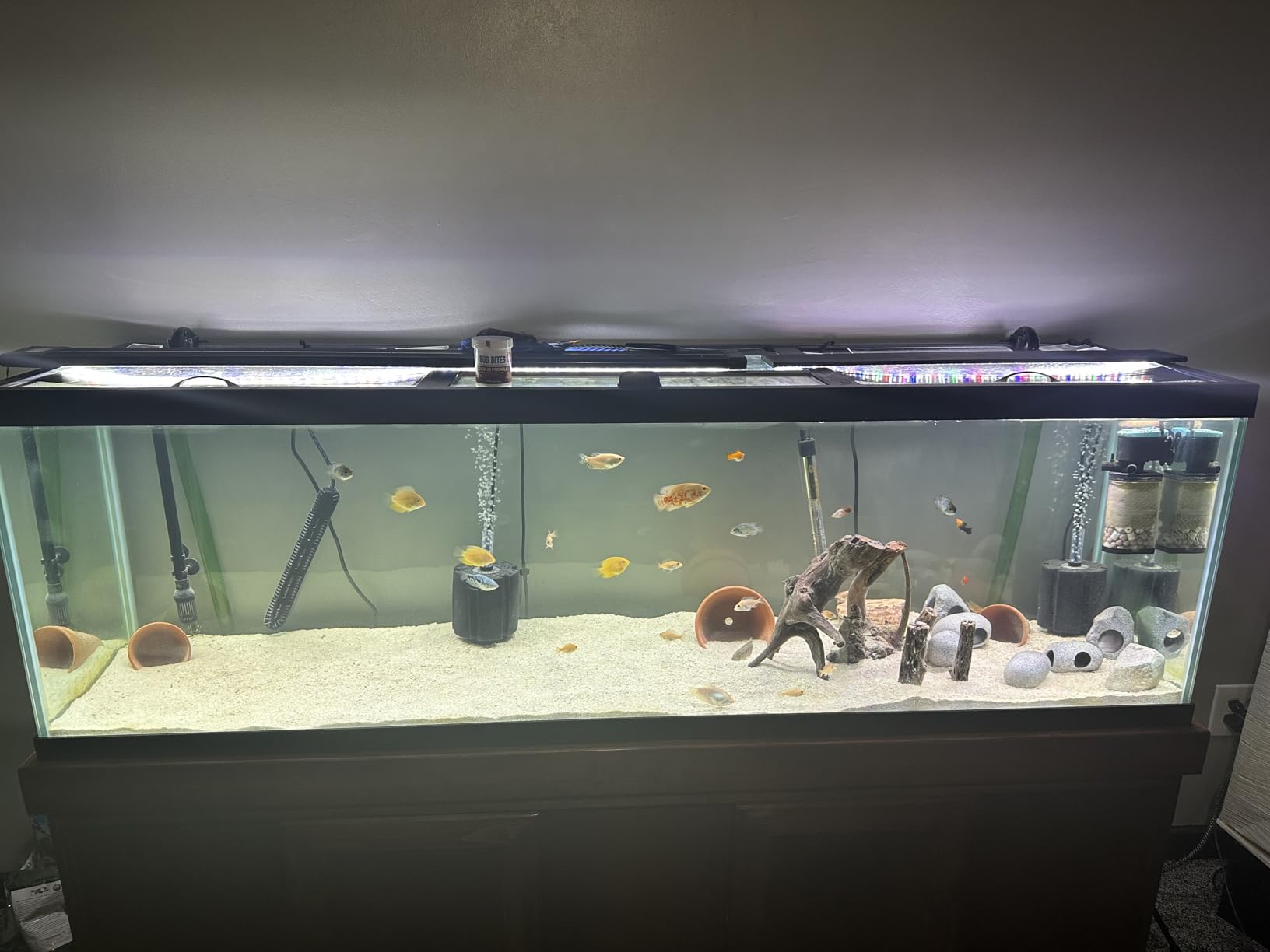 AQUANEAT Aquarium Bio Sponge Filter Breeding Fry Betta Shrimp Nano Fish Tank (Small up to 10Gal) customer photo 2