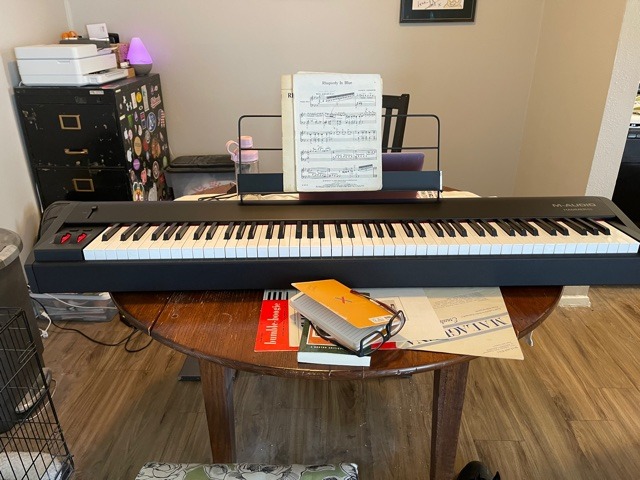 M-AUDIO Hammer 88 USB MIDI Keyboard Controller customer photo 1