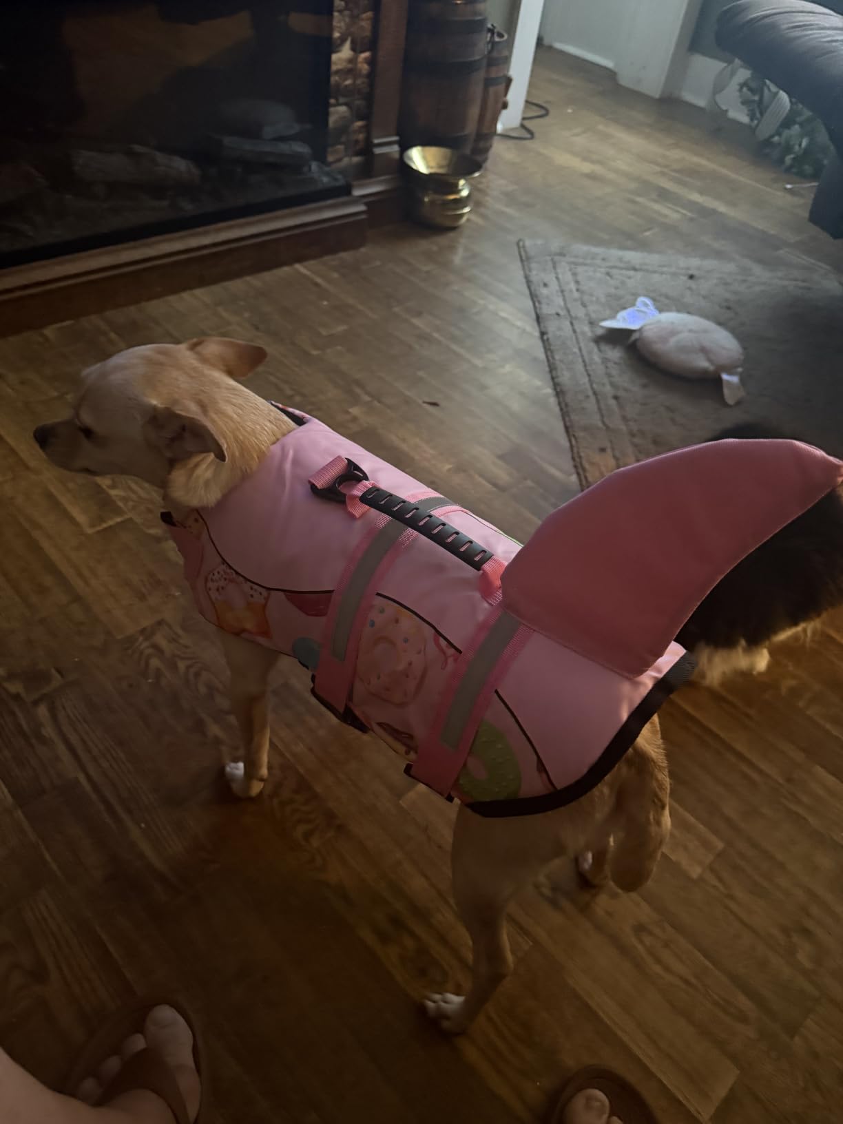 Queenmore Dog Life Jacket, Cute Shark Dog Life Vest for Swimming & Boating customer photo 1