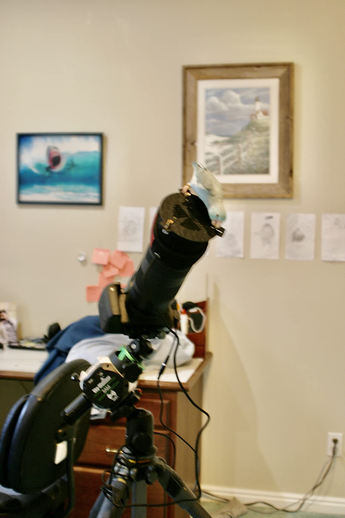 Sky-Watcher Star Adventurer Mini - Motorized DSLR Night Sky Tracking Mount For Nightscapes, Time-lapse, and Panoramas customer photo 2