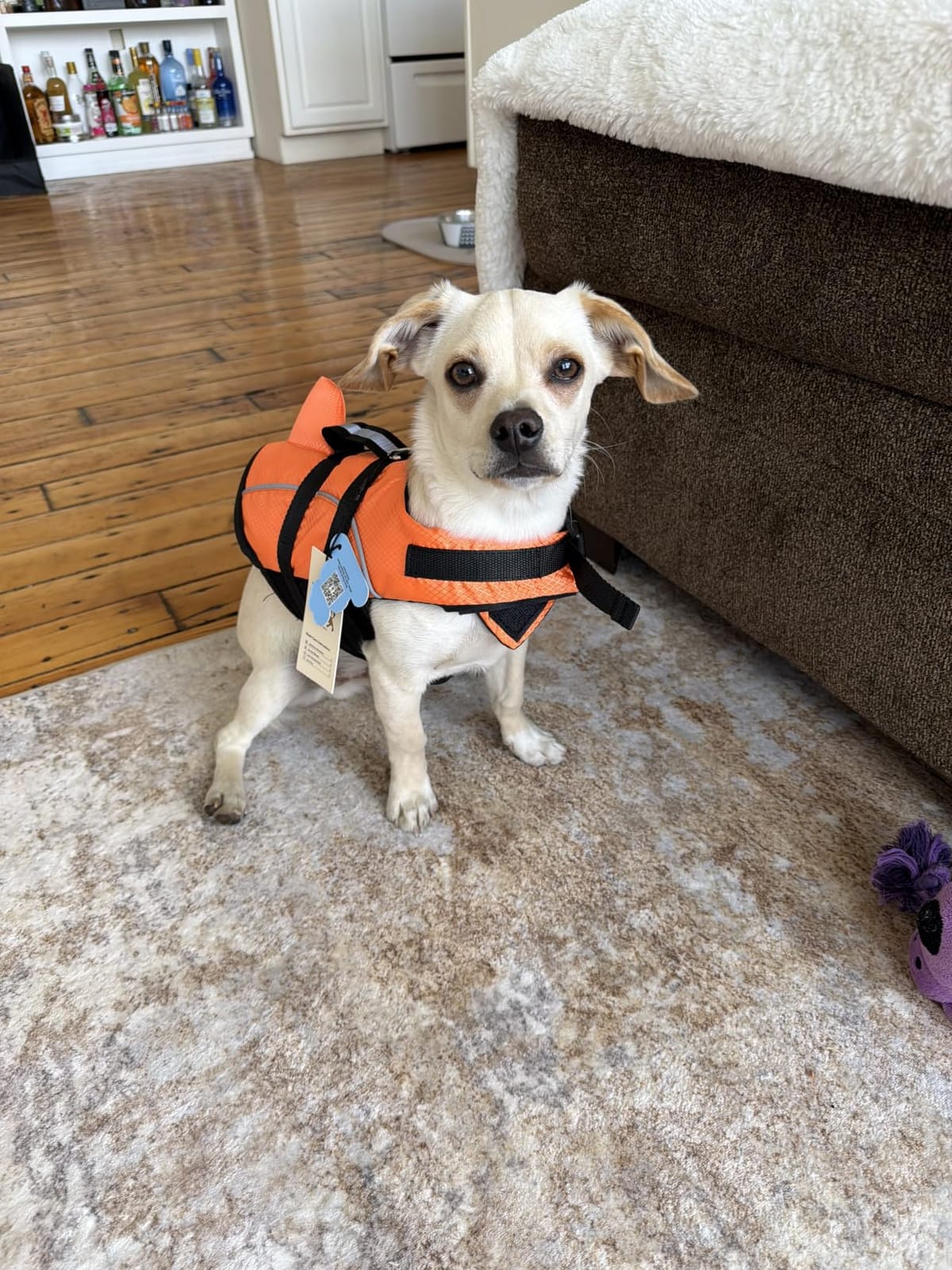 Ripstop Dog Life Jacket Shark Life Vest for Dogs, Safety Lifesaver with High Buoyancy and Lift Handle for Small and Medium Breeds(Rose Red XS) customer photo 2