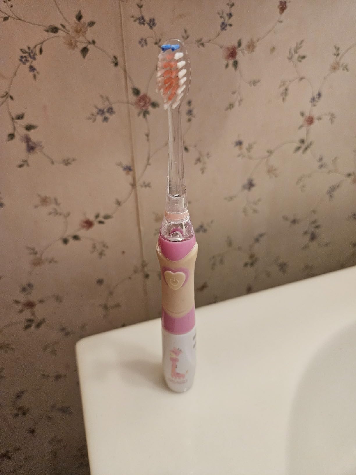 SEAGO Kids Electric Toothbrush, Timer, LED Light, AAA-Powered, 4 Heads | Extra-soft bristles and rainbow LED with 4 brush heads; IPX7 waterproof customer photo 2