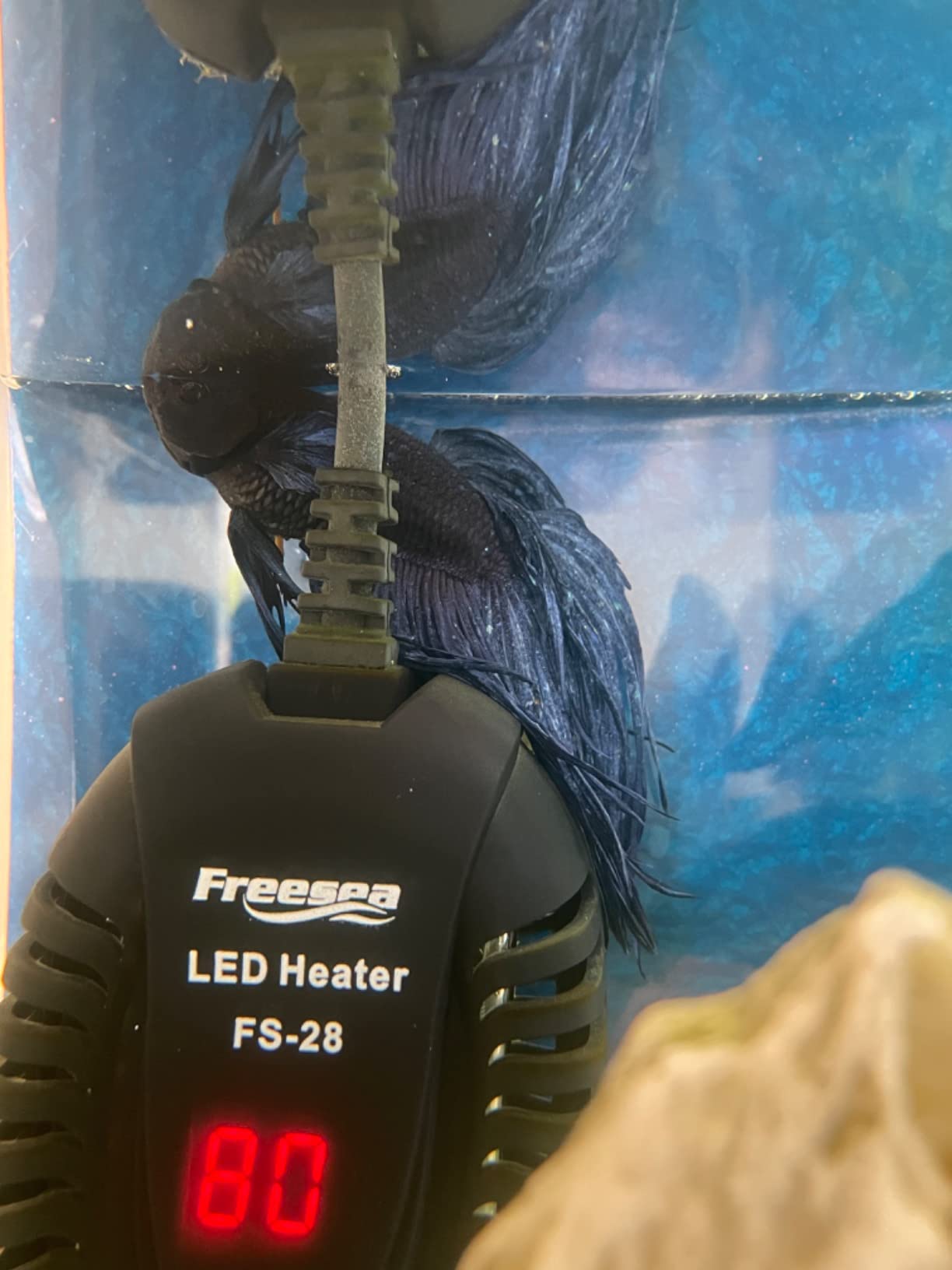 FREESEA Adjustable Turtle Tank Heater: Precise Temperature Control 64-95℉ customer photo 1
