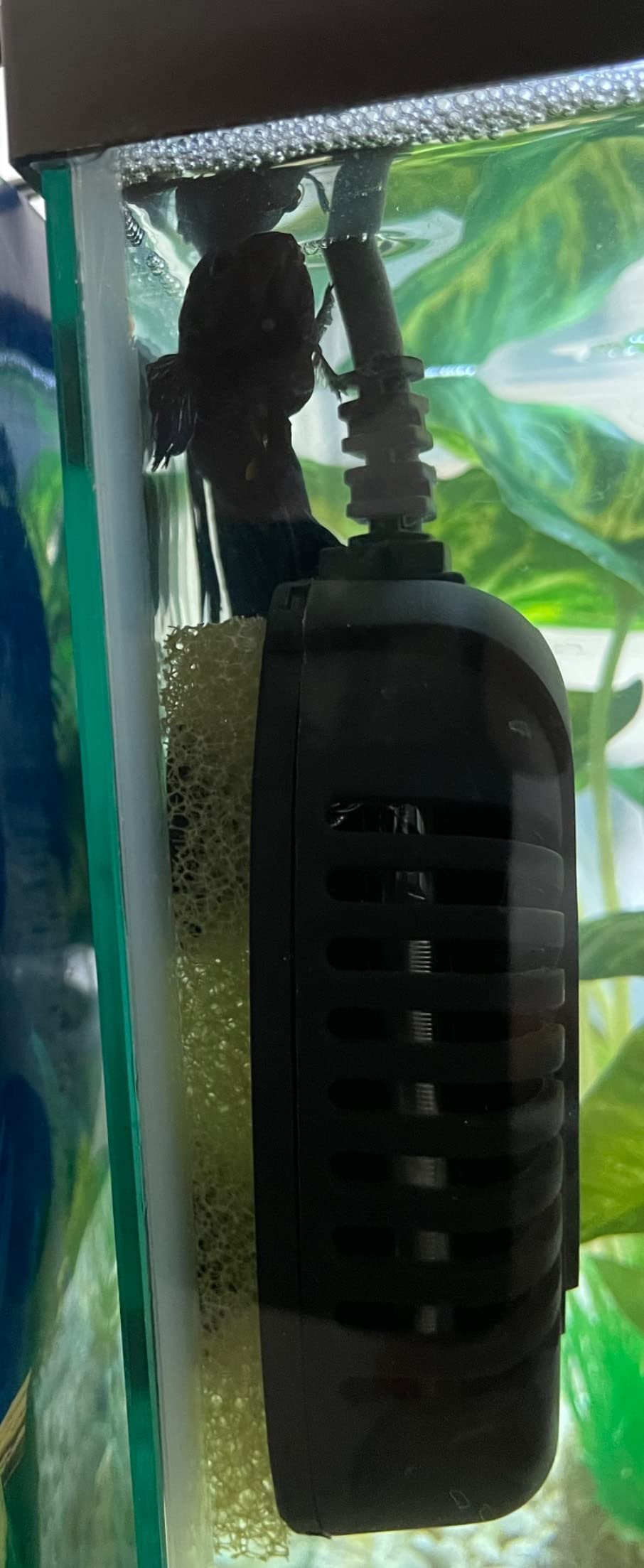 FREESEA Adjustable Turtle Tank Heater: Precise Temperature Control 64-95℉ customer photo 2