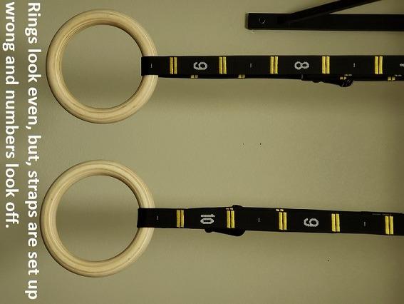 Double Circle Gymnastics Rings with Straps, Calisthenics Wooden Rings (Multi-Size) customer photo 1