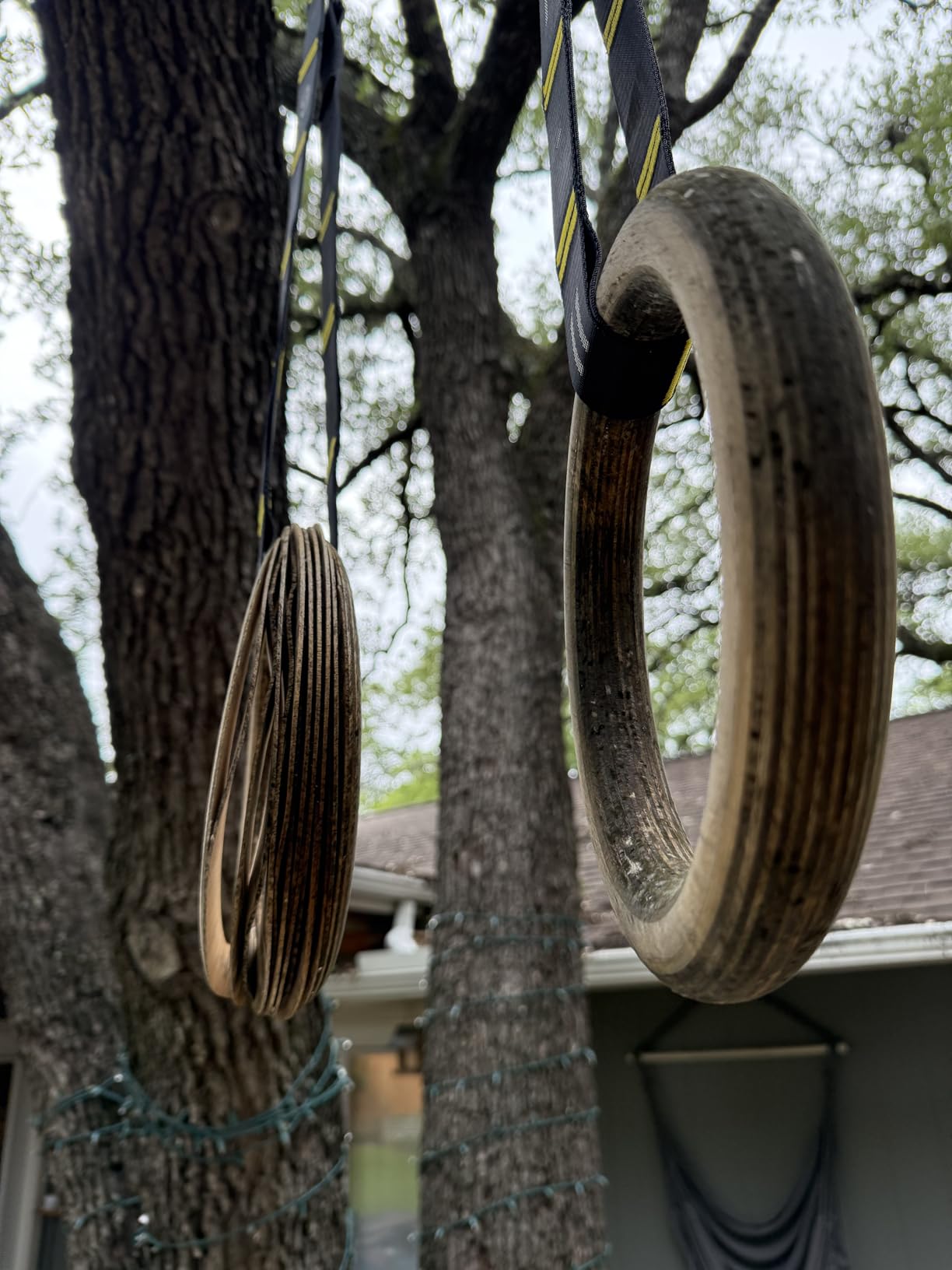 Double Circle Gymnastics Rings with Straps, Calisthenics Wooden Rings (Multi-Size) customer photo 2