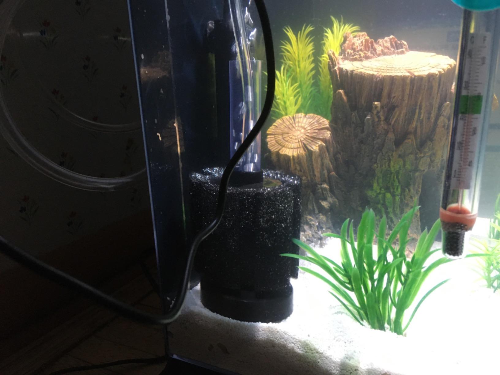AQUANEAT 3 Pack Aquarium Bio Sponge Filter Breeding Fry Betta Shrimp Nano Fish Tank (Small up to 10Gal) customer photo 1