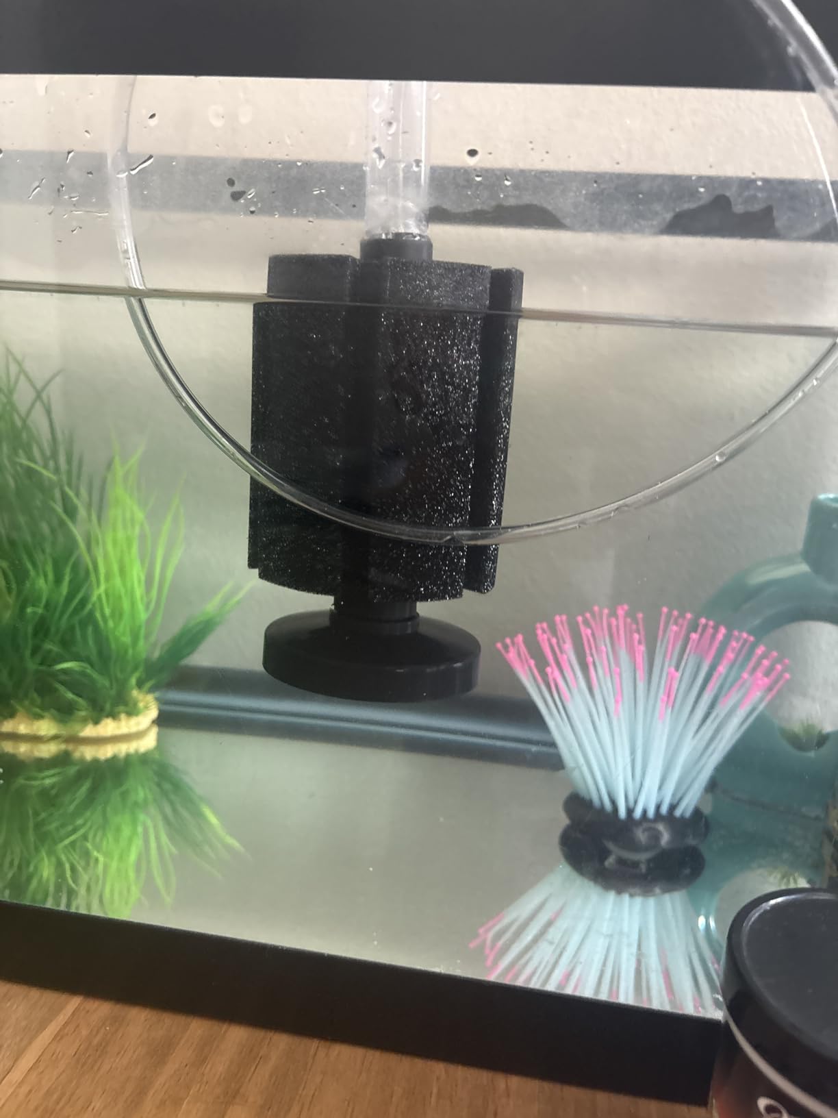 AQUANEAT 3 Pack Aquarium Bio Sponge Filter Breeding Fry Betta Shrimp Nano Fish Tank (Small up to 10Gal) customer photo 2