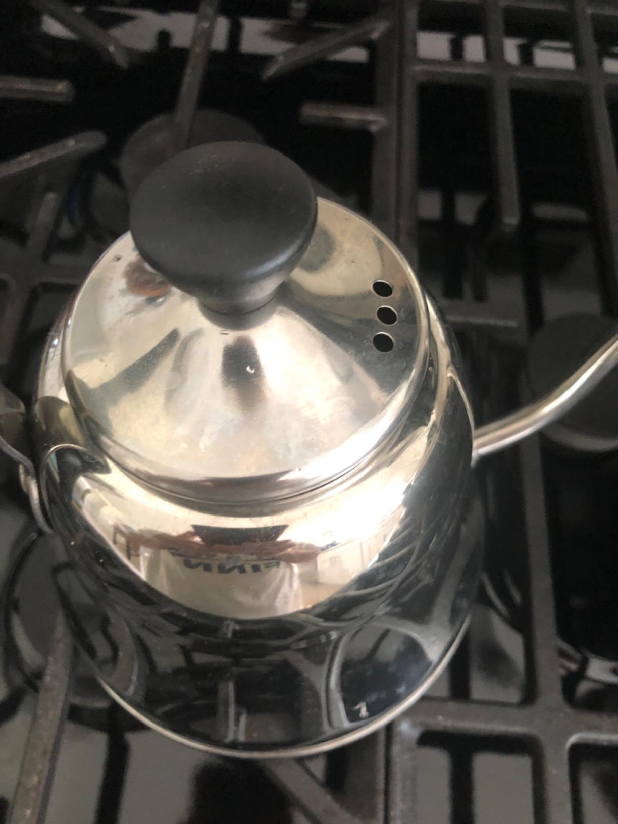 Tea Kettle for Stovetop, Gooseneck Pour Over, Flow Control, 28oz, Silver customer photo 2