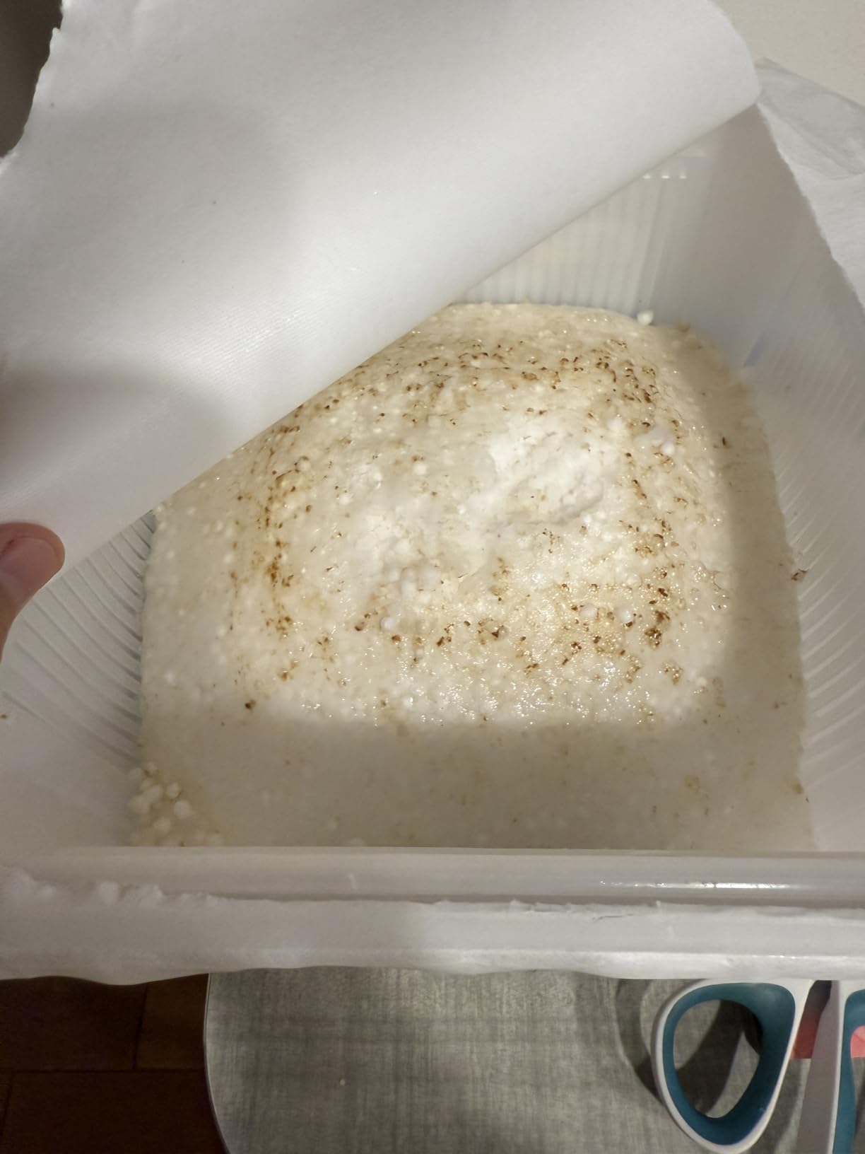 Camco Moisture Absorber Bucket - Features Fast-Acting Moisture-Absorbing Agent - No-Fragrance Beads – Use with RV Storage, Camper Organization & More (44282) customer photo 1