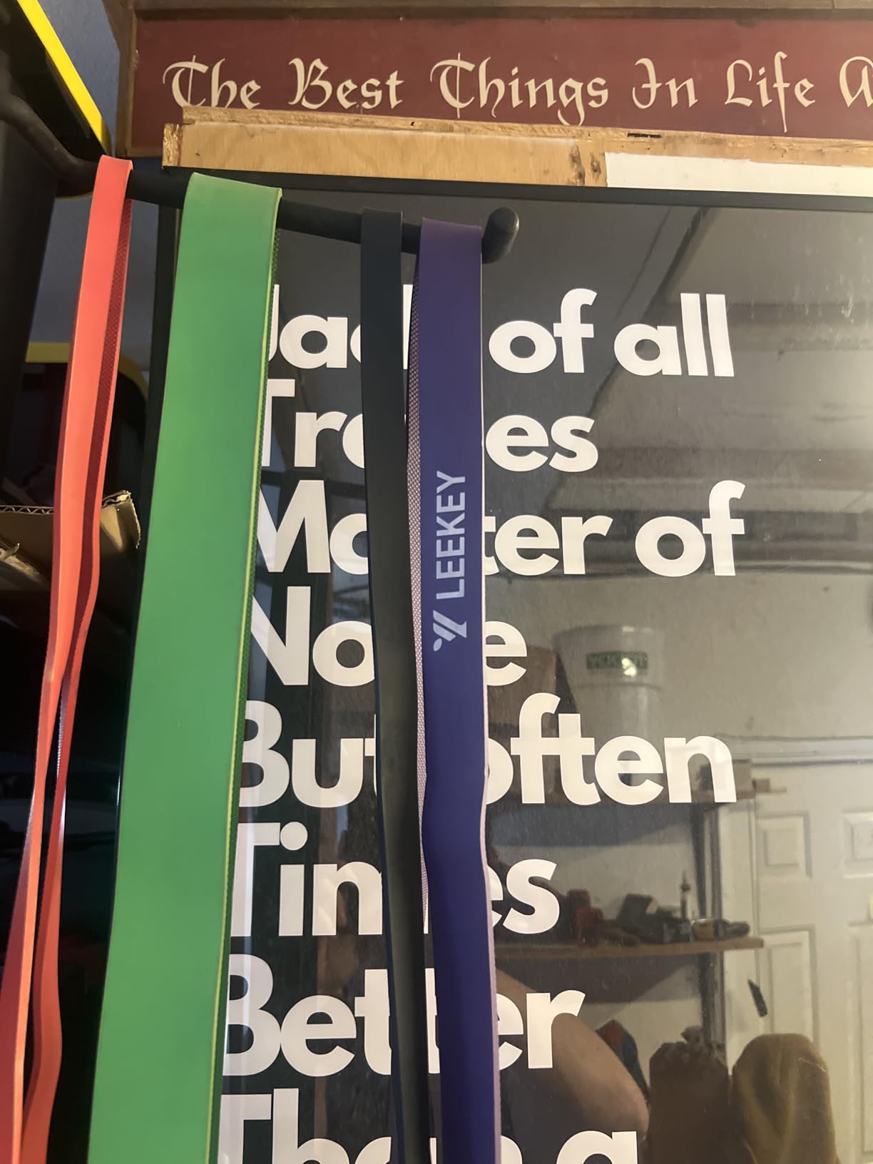 LEEKEY Resistance Bands Set for Pull Up Assistance & Exercise customer photo 2