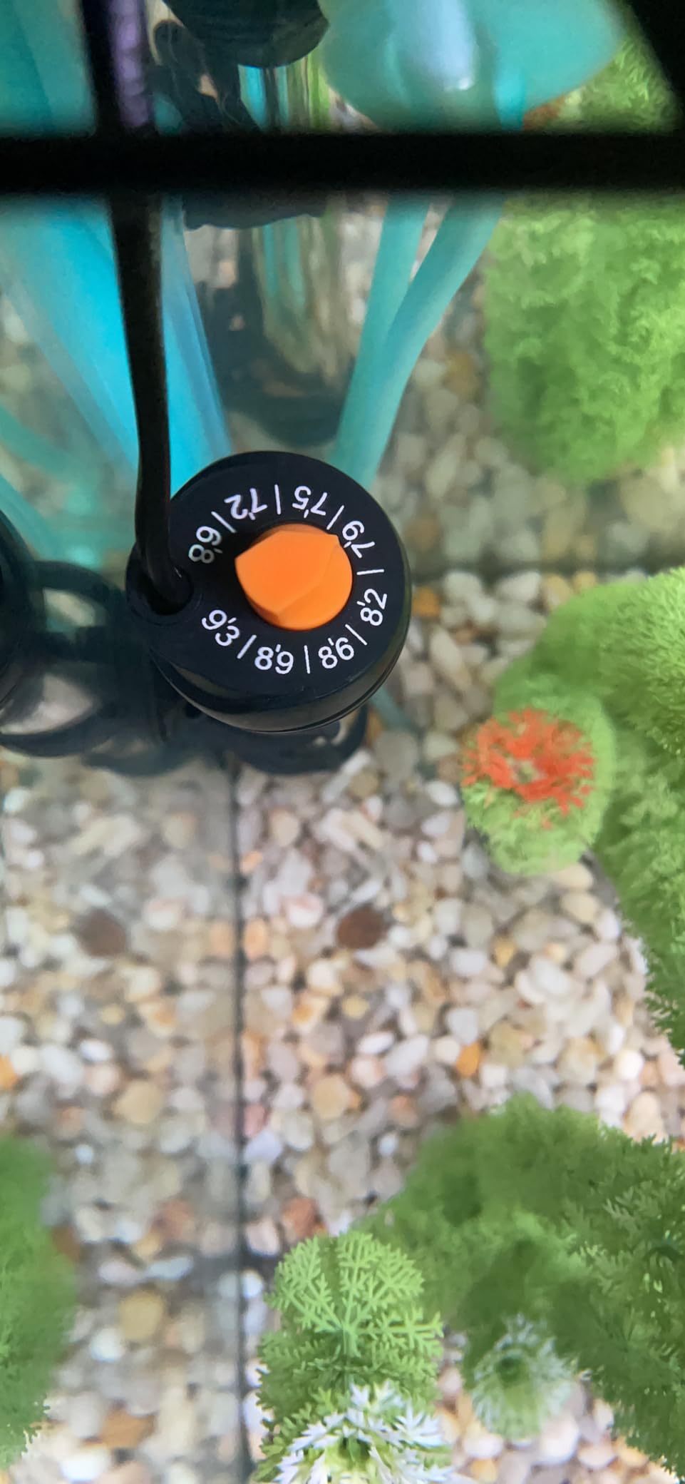 Orlushy Submersible Aquarium Heater, Adjustable Fish Tahk Heater with Free Thermometer Suitable for Marine Saltwater and Freshwater customer photo 1