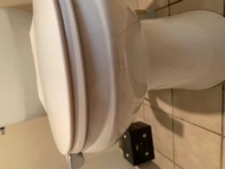 Brondell Bidet Attachment for Toilet SS-250 SimpleSpa Fresh Water Spray with Adjustable Water Pressure Side Arm Control, Slim Bidet Sprayer, Silver Knob (Dual Nozzle) customer photo 2