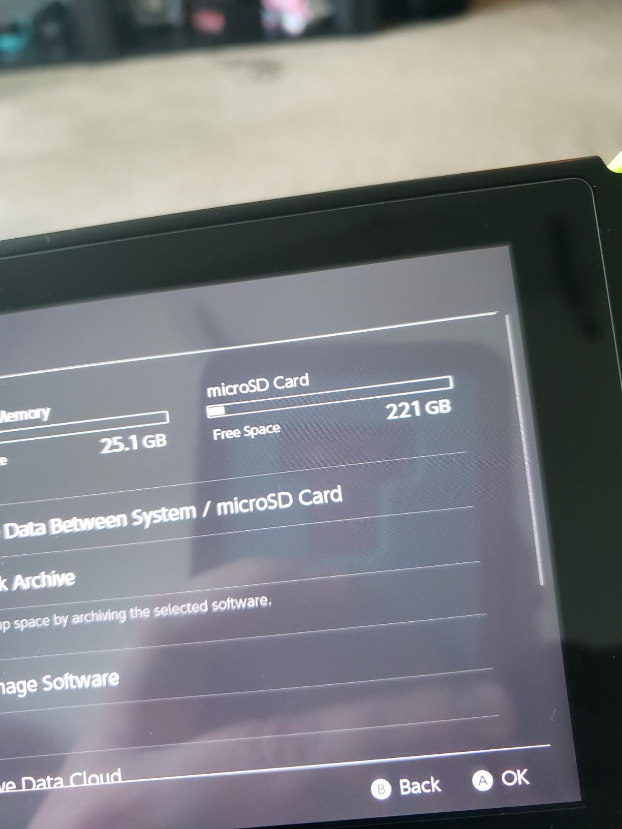 【5-Yrs Free Data Recovery】 GIGASTONE 256GB Micro SD Card, 4K Camera Pro, A2 V30 for Smartphone, Gopro, Action Cams, 4K UHD Video, Nintendo-Switch Compatible, Up to 100MB/s, UHS-I U3 C10 with Adapter customer photo 2