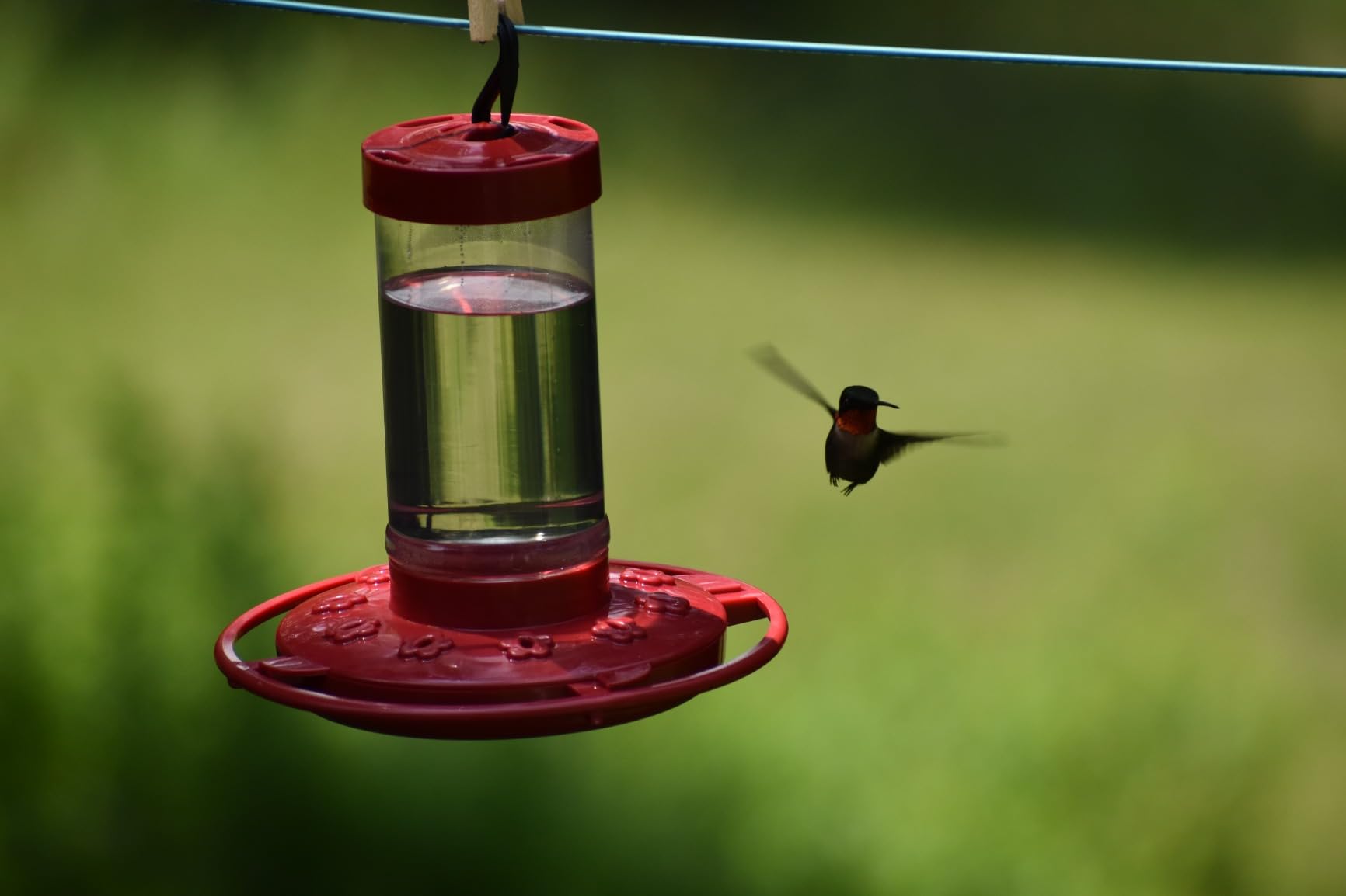 Hummingbird Feeder [Set of 2] Leakproof Clear Plastic 10 oz Wide Mouth. customer photo 1