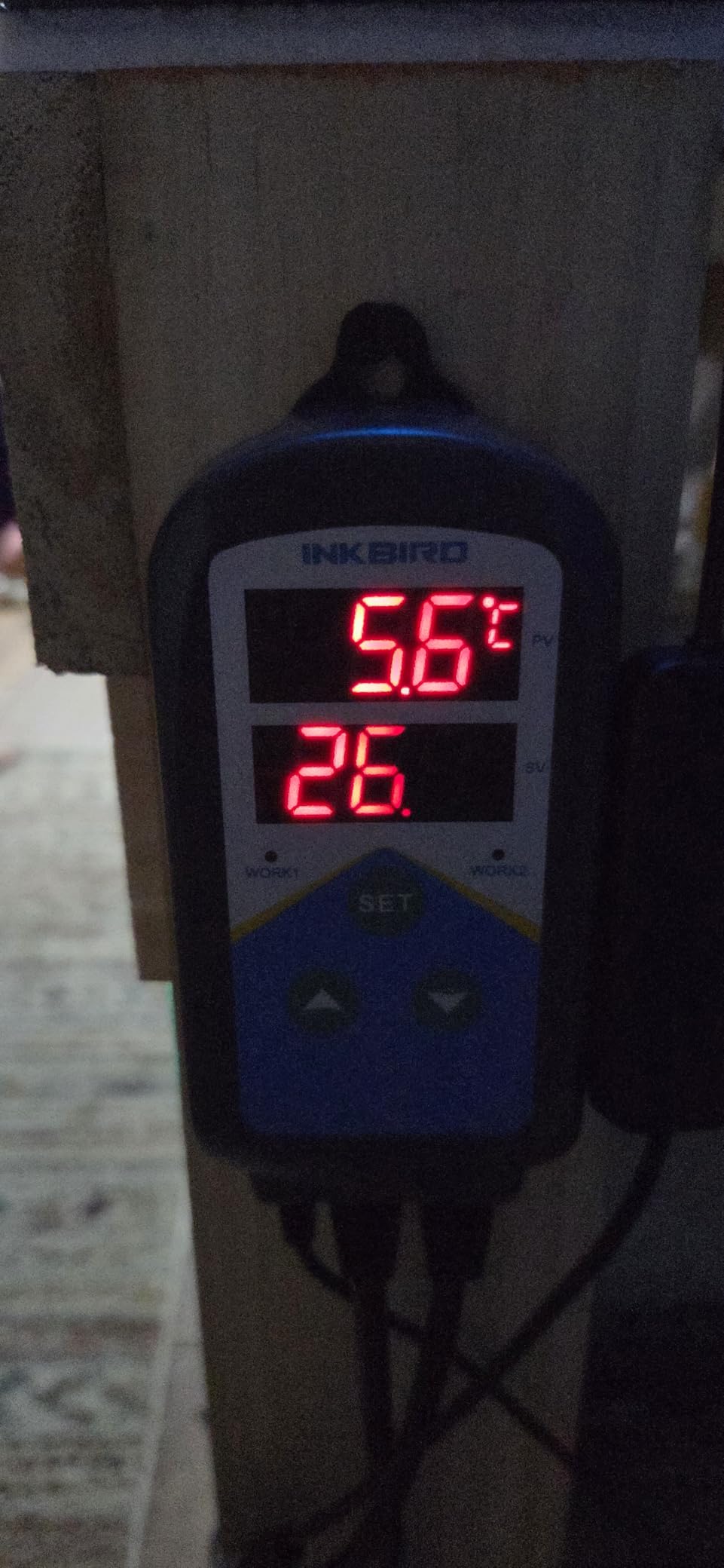 Inkbird Aquarium Heater with Probe Thermostat Fish Ornamental Shrimp Reef Tanks 24 Hours Double Time with Day Night Automatic Temperature Controller customer photo 1
