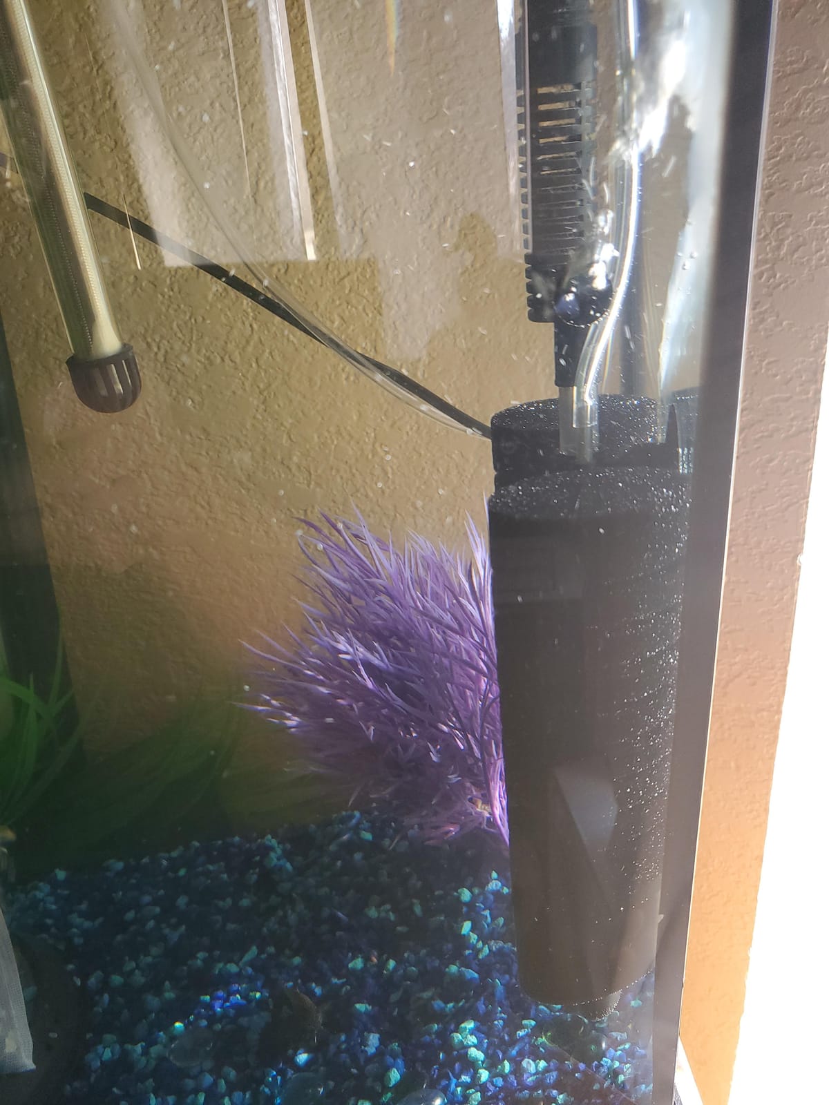 Hygger Aquarium Double Sponge Filter, Comes with 2 Spare Sponges, 1 Bag of Bio Ceramic Media Balls, Quiet Submersible Foam Filter for Fresh Water and Salt-Water Fish Tank (M) customer photo 1