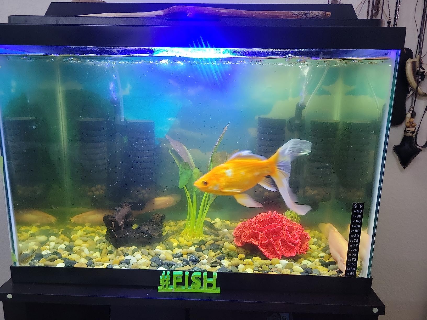 Hygger Aquarium Double Sponge Filter, Comes with 2 Spare Sponges, 1 Bag of Bio Ceramic Media Balls, Quiet Submersible Foam Filter for Fresh Water and Salt-Water Fish Tank (M) customer photo 2