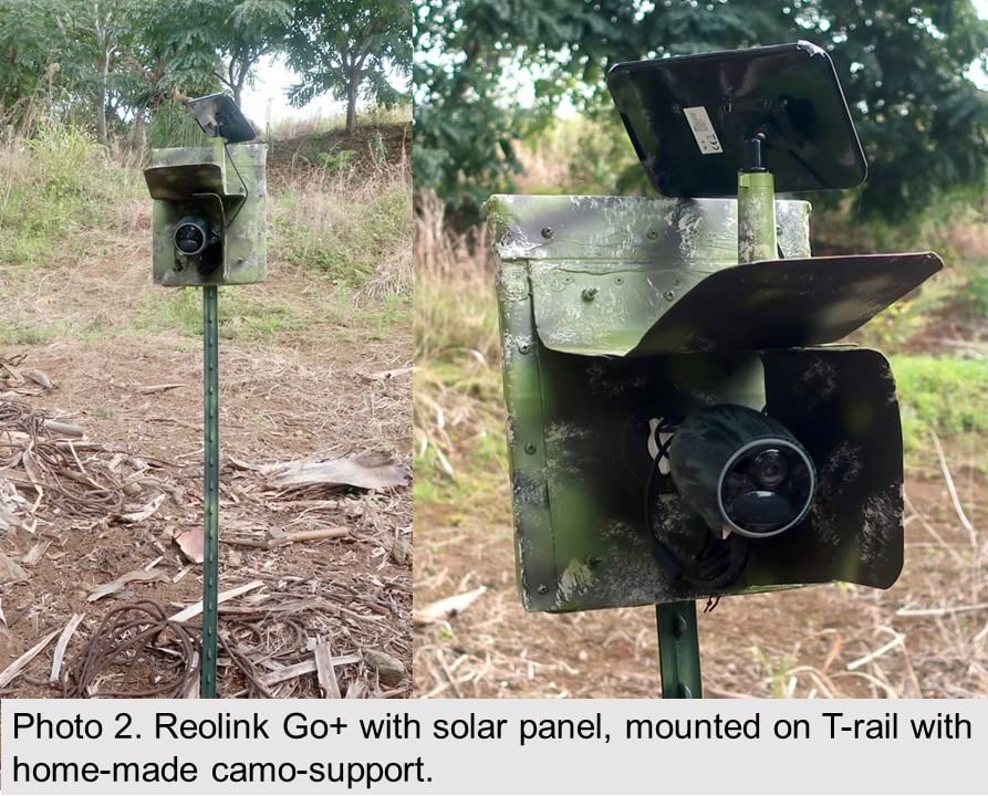 REOLINK 2K LTE Celluar Security Camera - 4G No WiFi, Rechargeable Battery, Wireless Solar Powered, 4MP Night Vision, 2-Way Talk, Smart Person/Vehicle Detection, Go Plus+Solar Panel, Updated Version customer photo 1