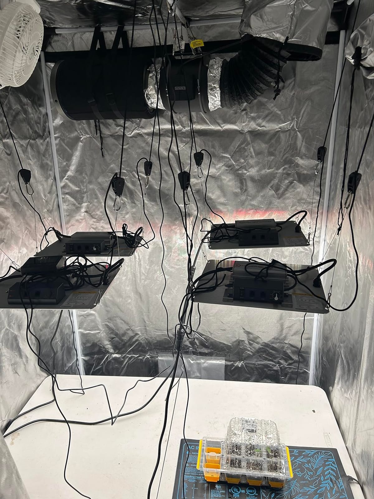 Spider Farmer SF1000 LED Grow Lights for Indoor Plants in 2x2/3x3 Grow Tent customer photo 1