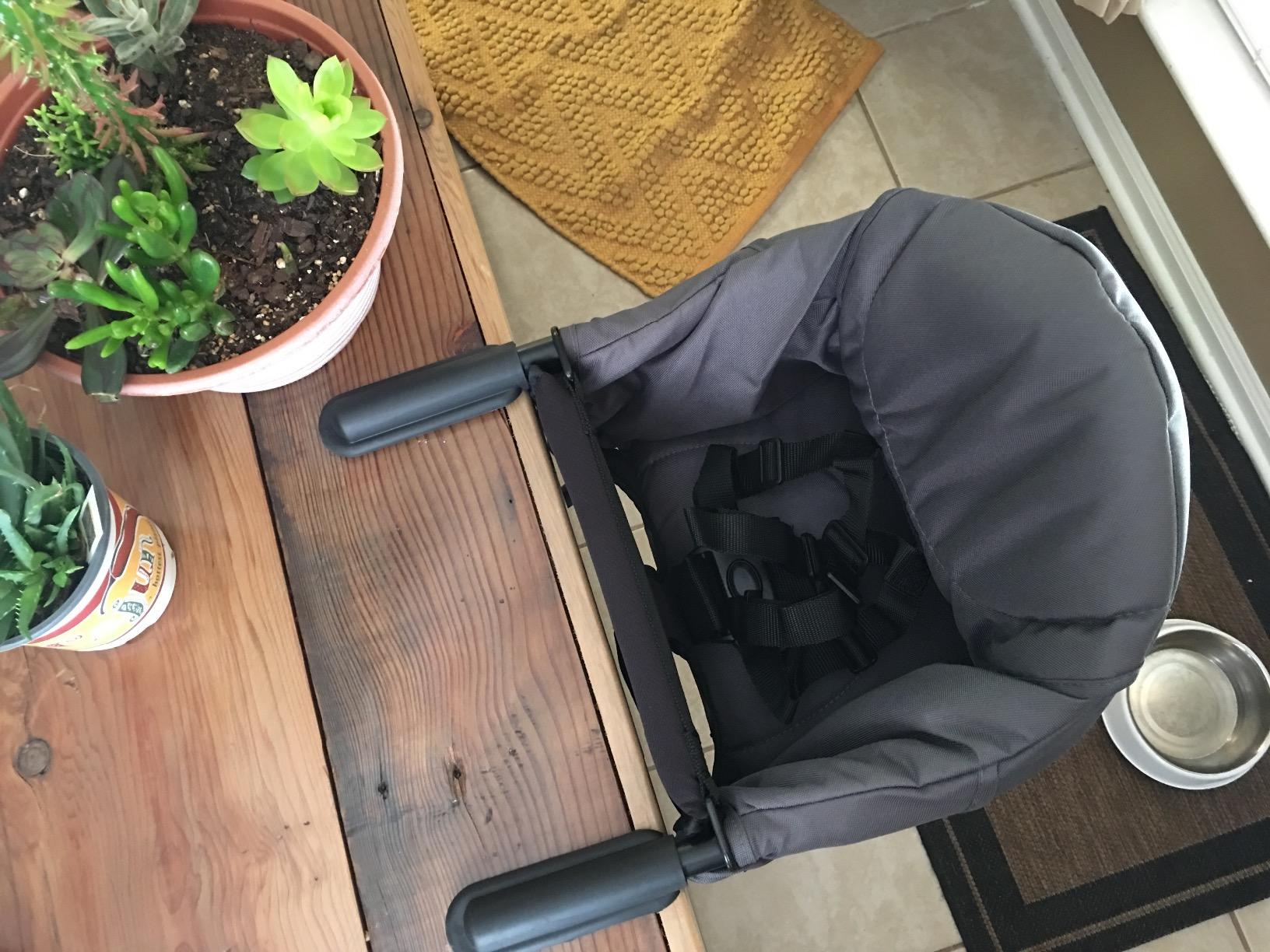 guzzie+Guss Perch Hook On High Chair | Boys & Girls 4M+ | Forest Green customer photo 1