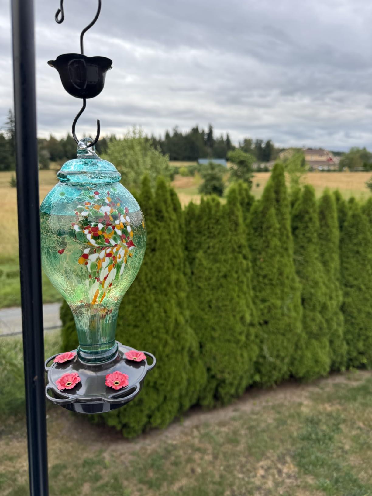 LUJII Hummingbird Feeder, Hand Blown Glass Hummingbird Feeder, Never Fade, 36 Fluid Ounces, 5 Feeding Metal Stations, Much Bigger, Garden Backyard Decorative, Containing Ant Moat (Blue) customer photo 2