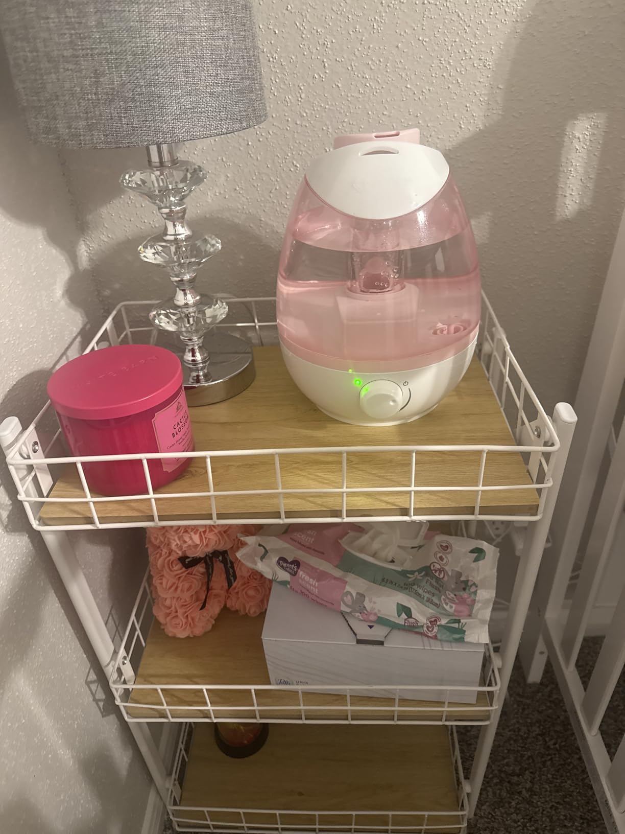 Safety 1st Filter Free Cool Mist Humidifier, Pink, Pink customer photo 2