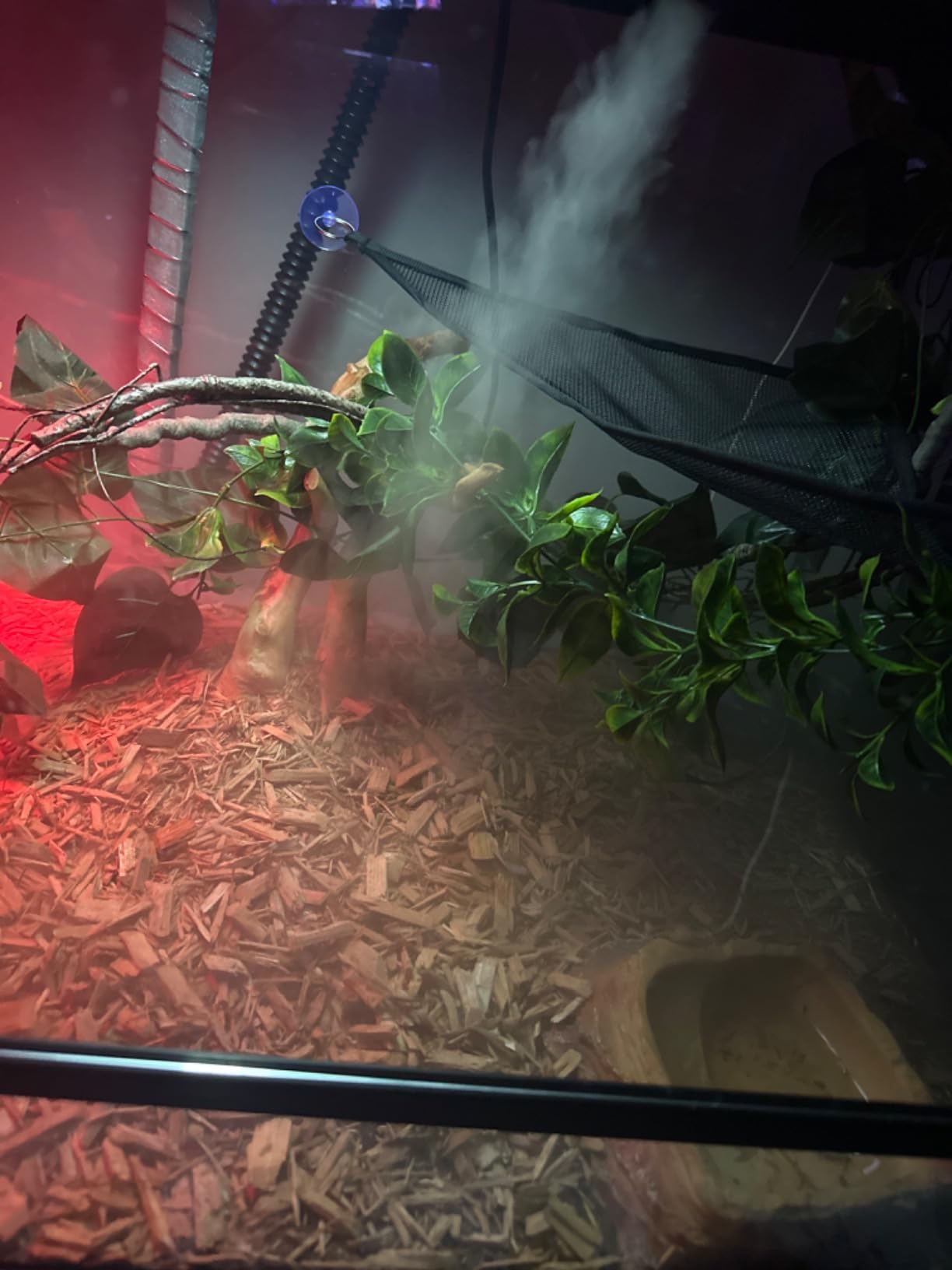 REPTI ZOO 4L Reptile Fogger Mister Tank, Terrariums Digital Tank Timing Humidifier Smart Touch Screen Adjustable Fogger for Reptiles Amphibians Herps customer photo 1