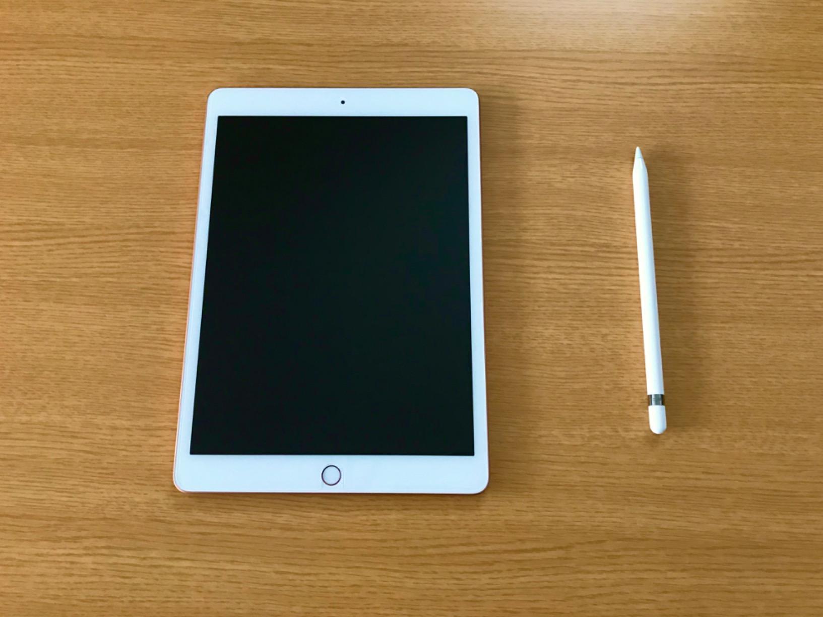Apple iPad (10.2-inch, Wi-Fi, 32GB) - Space Gray (Previous Model) customer photo 1