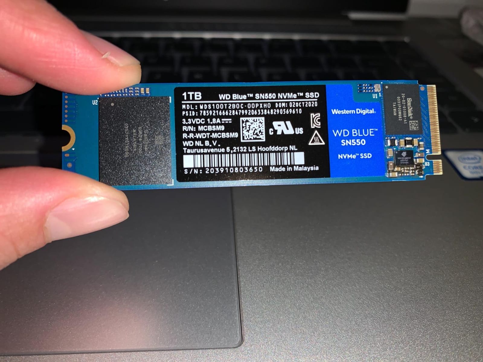 Western Digital 1TB WD Blue SN550 NVMe Internal SSD - Gen3 x4 PCIe 8Gb/s, M.2 2280, 3D NAND, Up to 2,400 MB/s - WDS100T2B0C, olid State Hard Drive customer photo 1