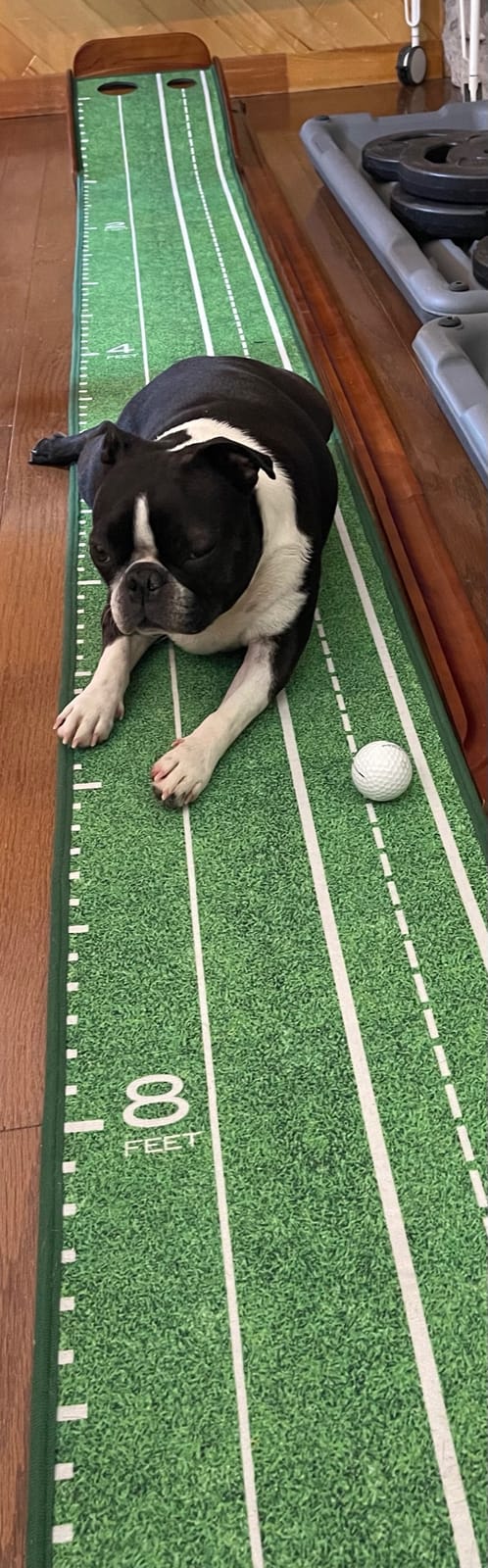 Perfect Practice Standard 9' Putting Mat - Indoor Putting Green customer photo 1
