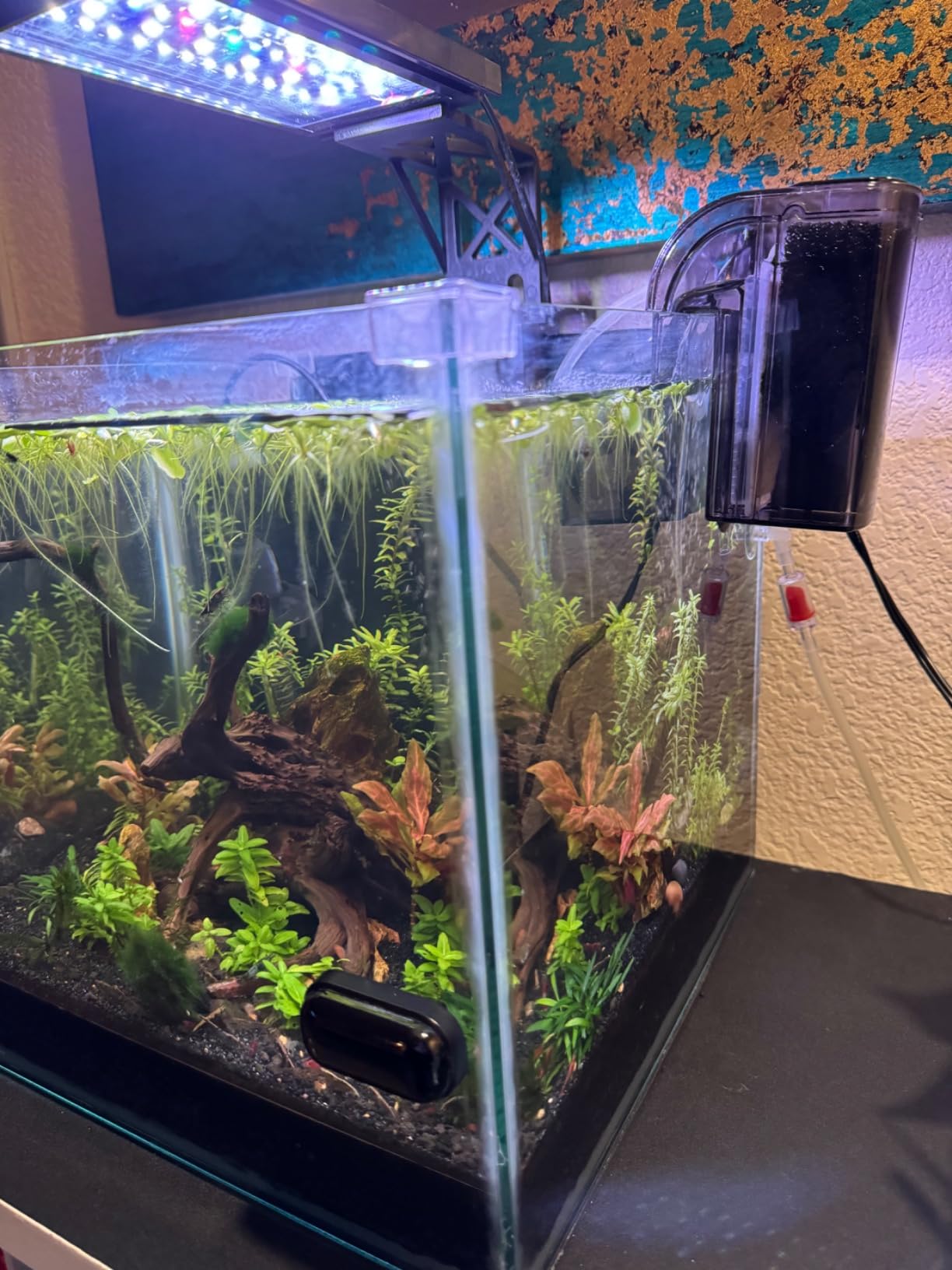 Finnex PF-7 Nano Aquarium HOB Power Filter, 52 GPH, up to 7.5 Gallon Aquariums, Made in Taiwan customer photo 1