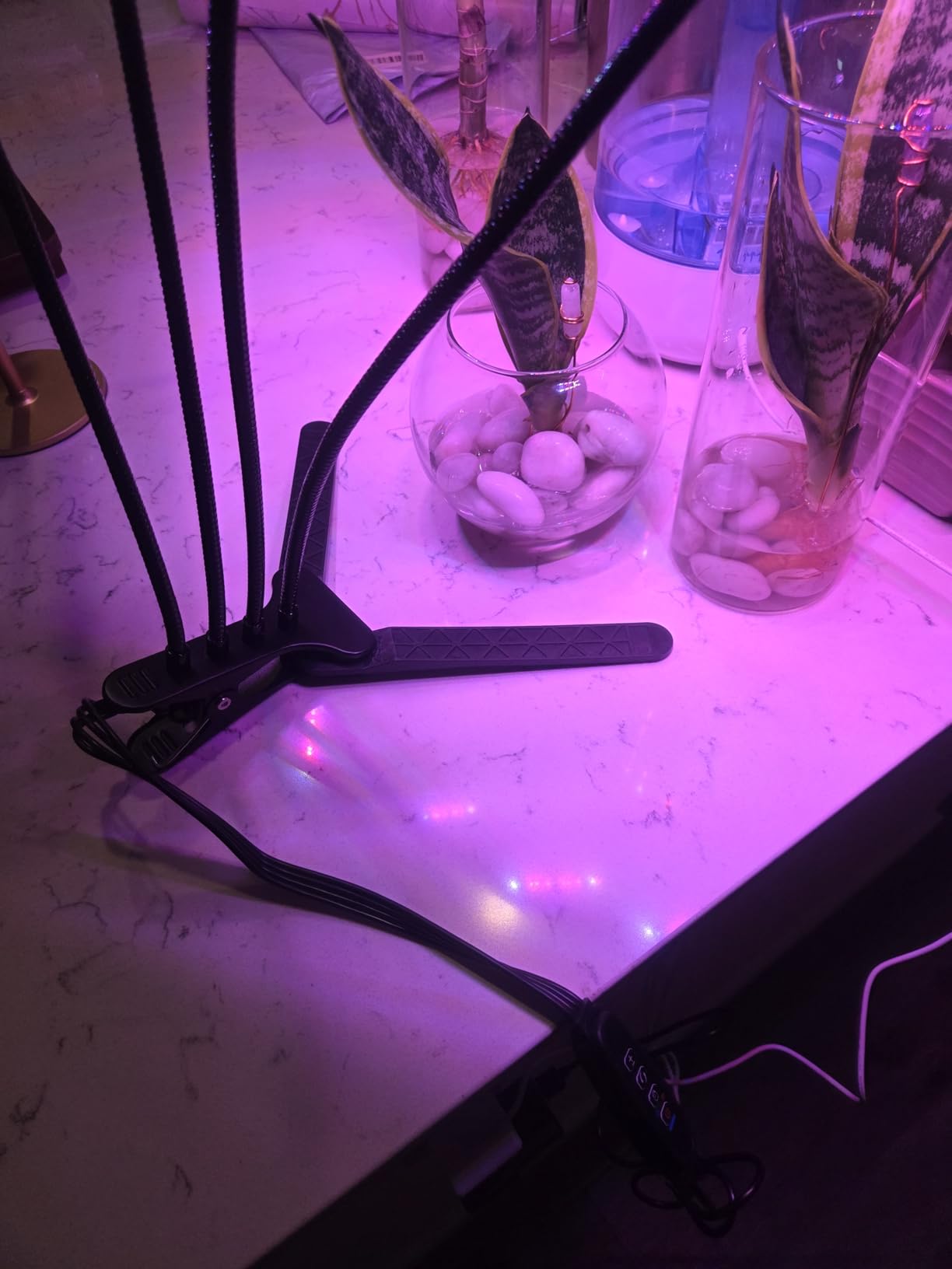 LEOTER Grow Light for Indoor Plants - Upgraded Version 80 LED Lamps with Full Spectrum & Red Blue Spectrum, 3/9/12H Timer, 10 Dimmable Level, Adjustable Gooseneck,3 Switch Modes customer photo 1