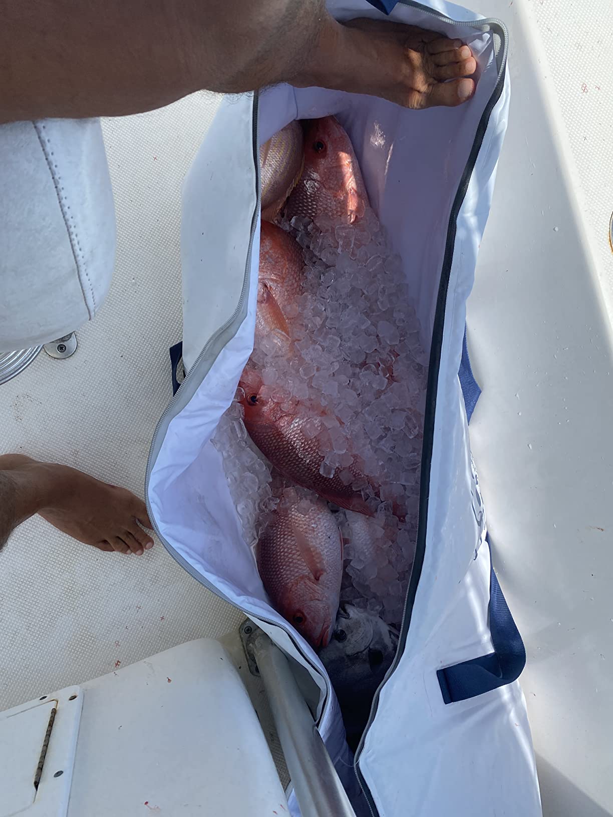 Pack Fishcooler 40