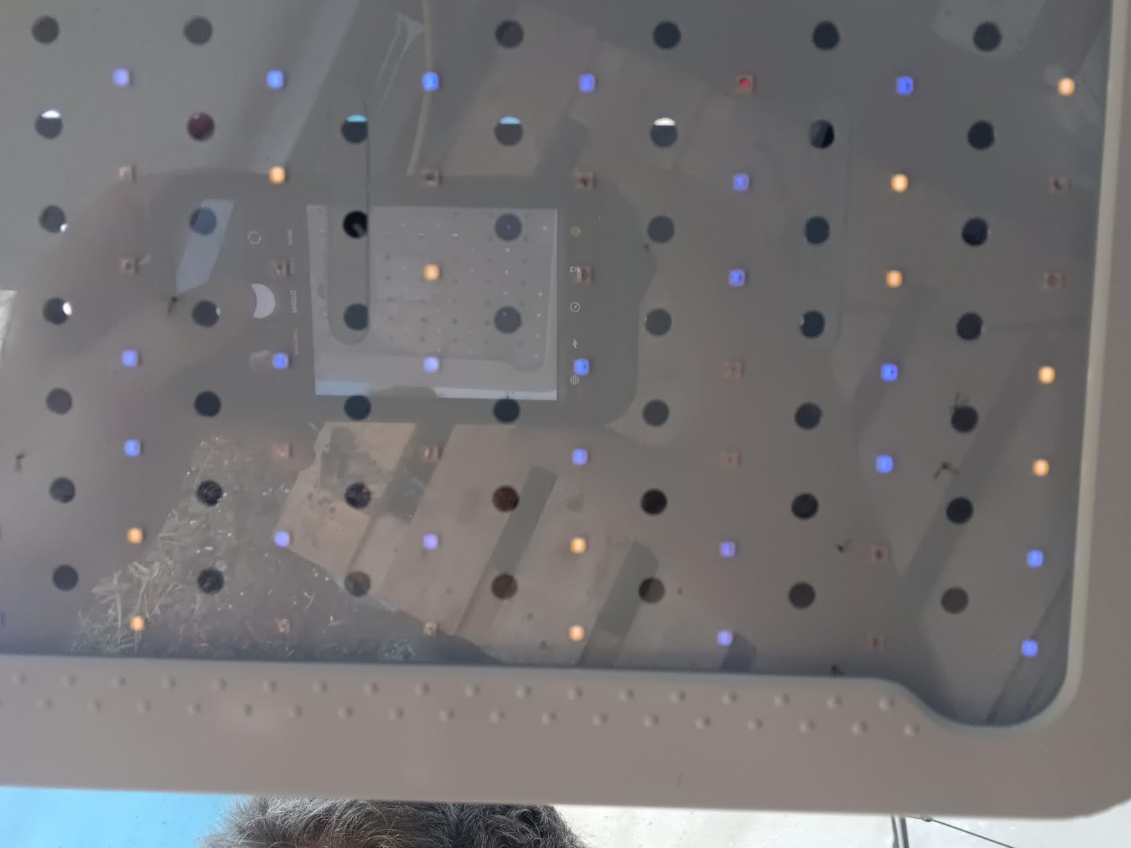 Beelux 1000w LED Grow Light for Indoor Plants Full Spectrum, Upgrade Dual Chips and Dual Switch Plant Grow Lights for Seed Starting Veg and Flower Greenhouse (Actual Power 100W=1000W HPS) customer photo 1